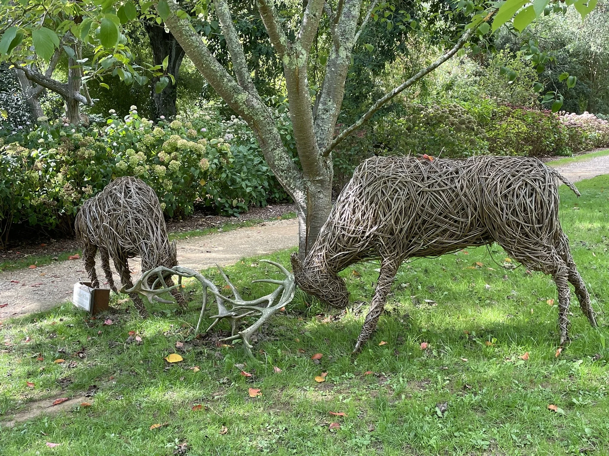 Out and about - Abbotsbury Subtropical Gardens