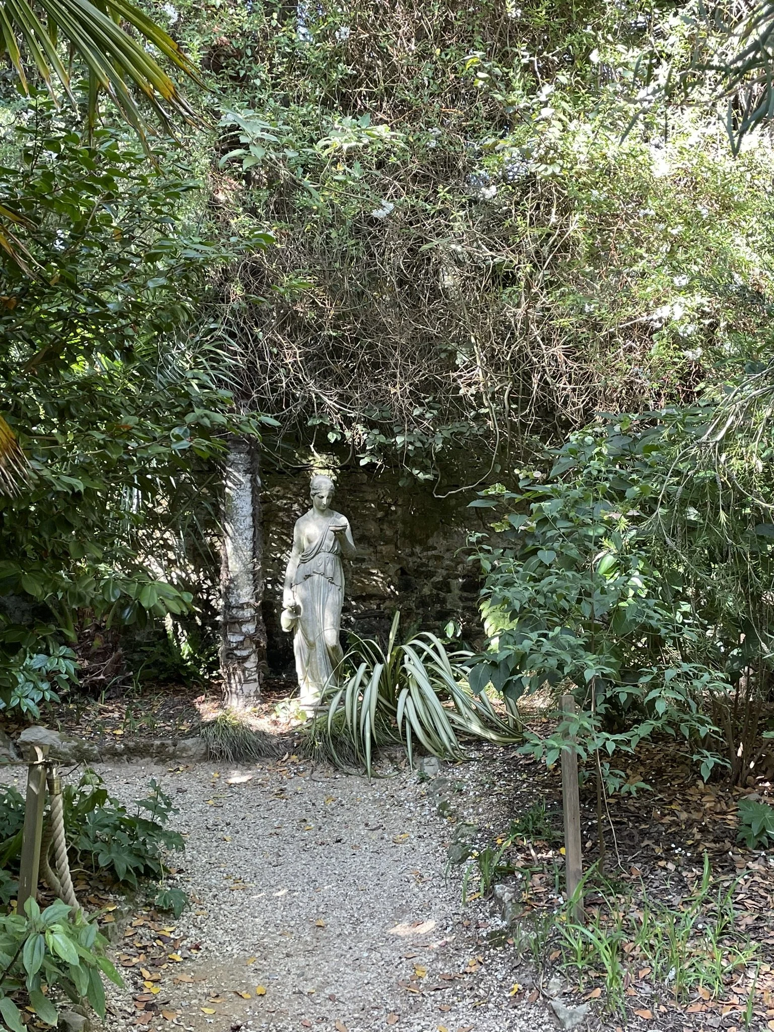 Out and about - Abbotsbury Subtropical Gardens