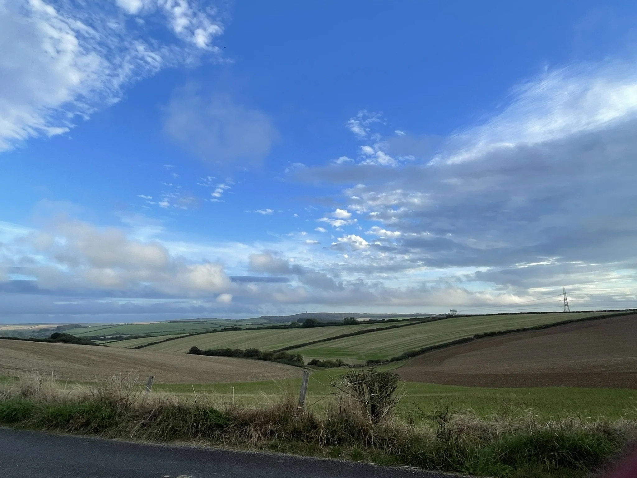 IMG_0594.JPEG