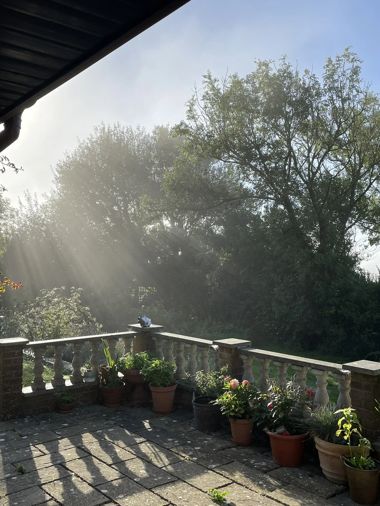 Morning bliss
