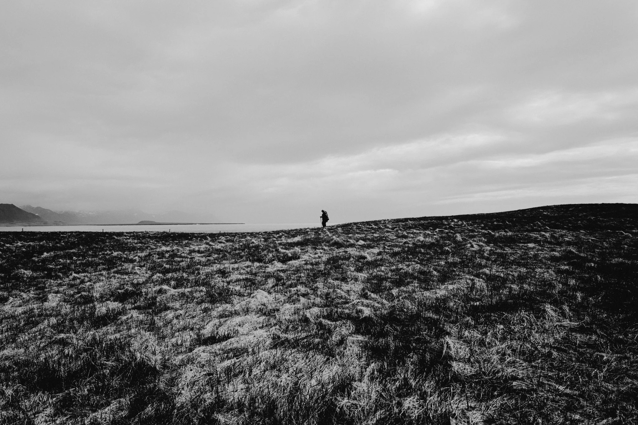 L1008149.jpg