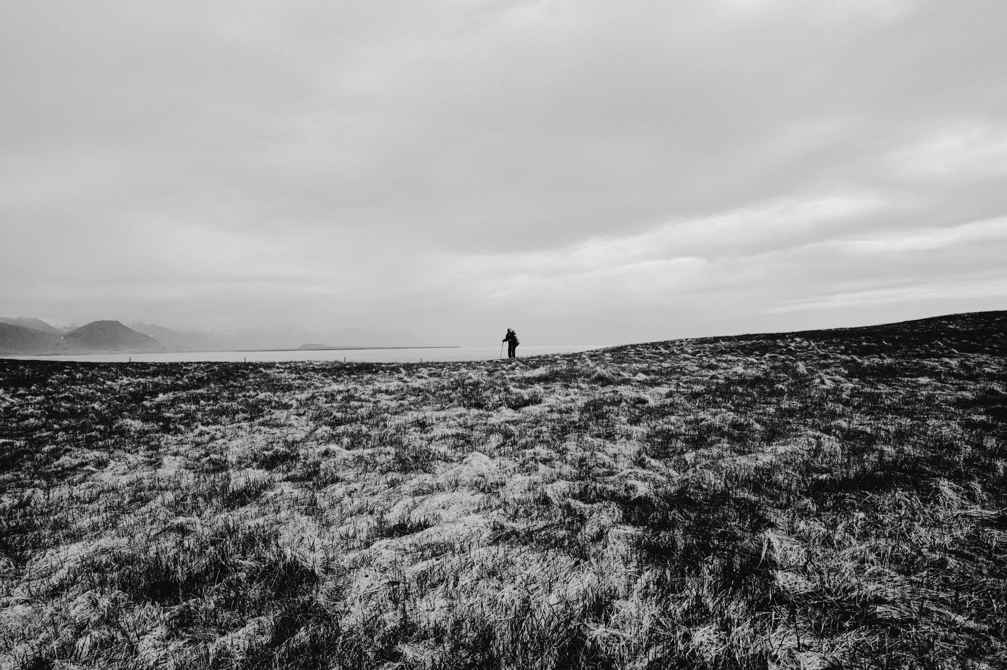 L1008150.jpg