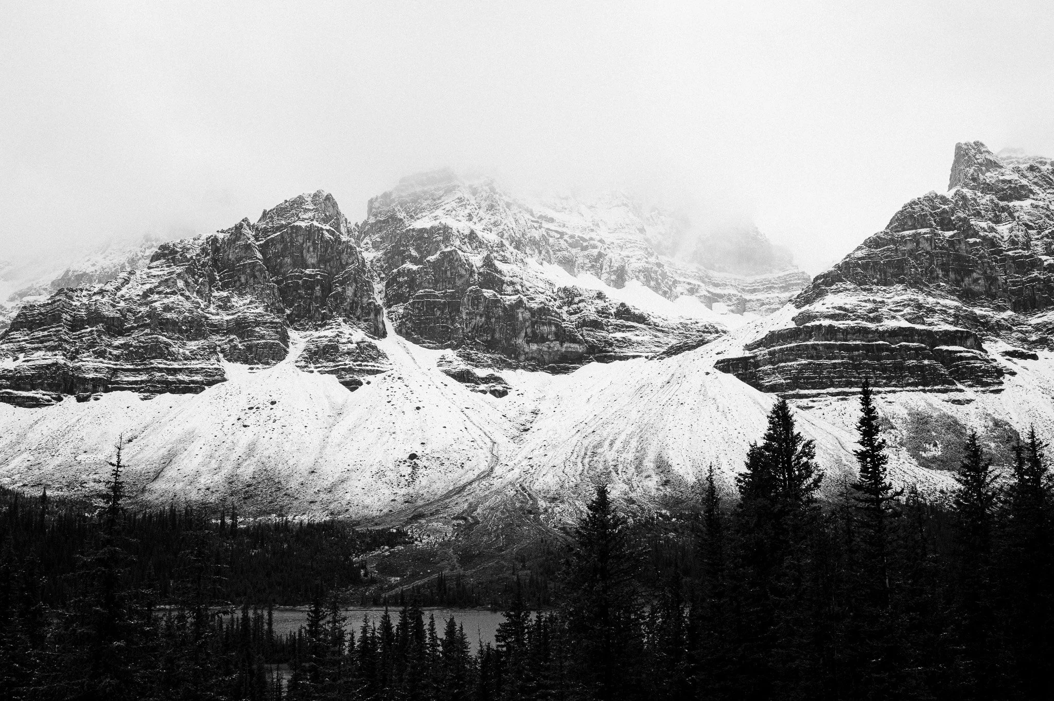 L1021362.jpg