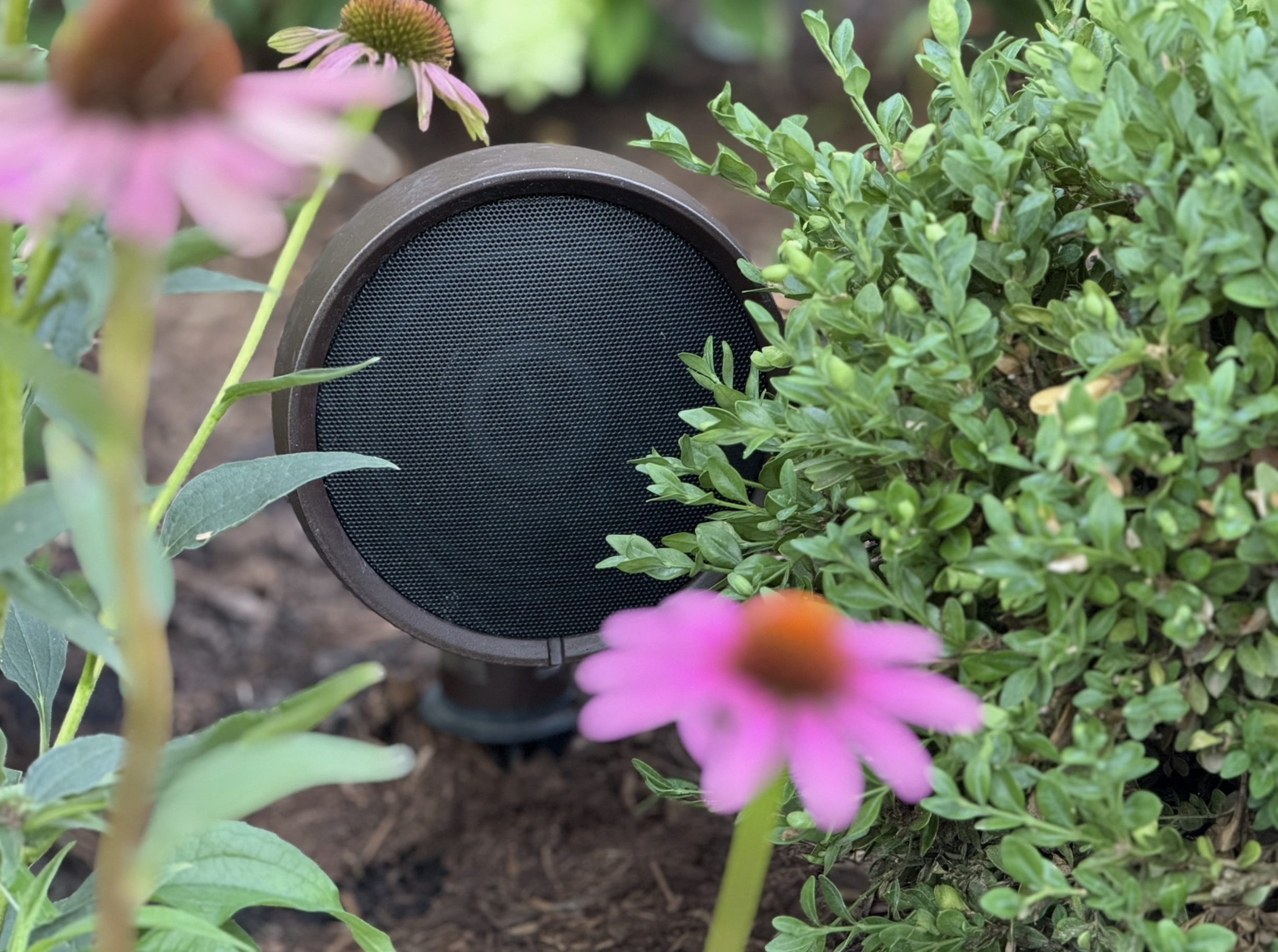 Discreet outdoor speaker in landscaping, Chicago patio