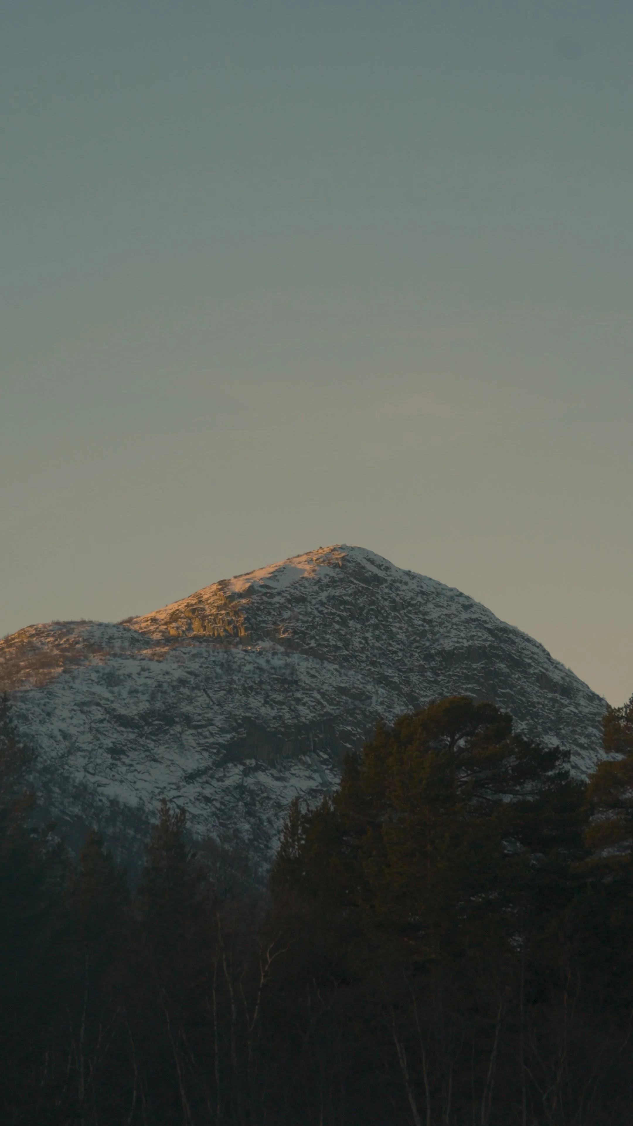 Snow-capped mountain under a clear sky with trees in the foreground.
