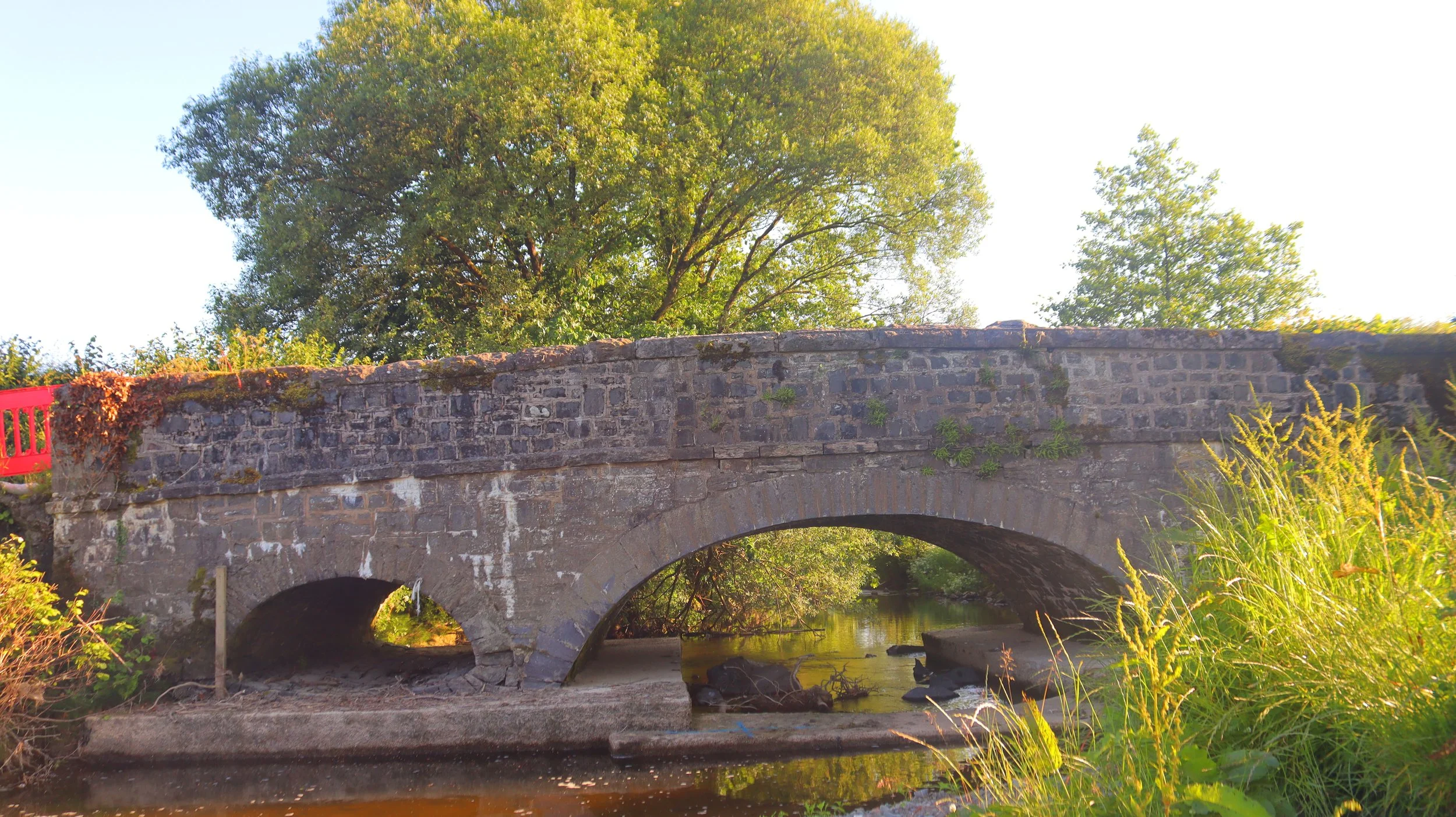 A stone bridge over a small creek with lush trees and greenery in the background, lit by warm sunlight.