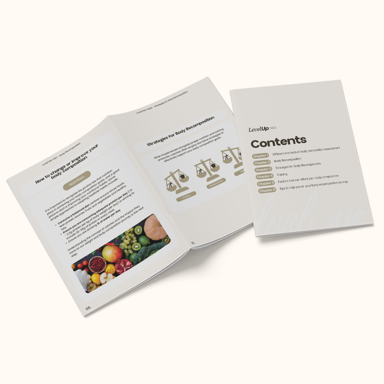 Maximising Body Composition 2.png