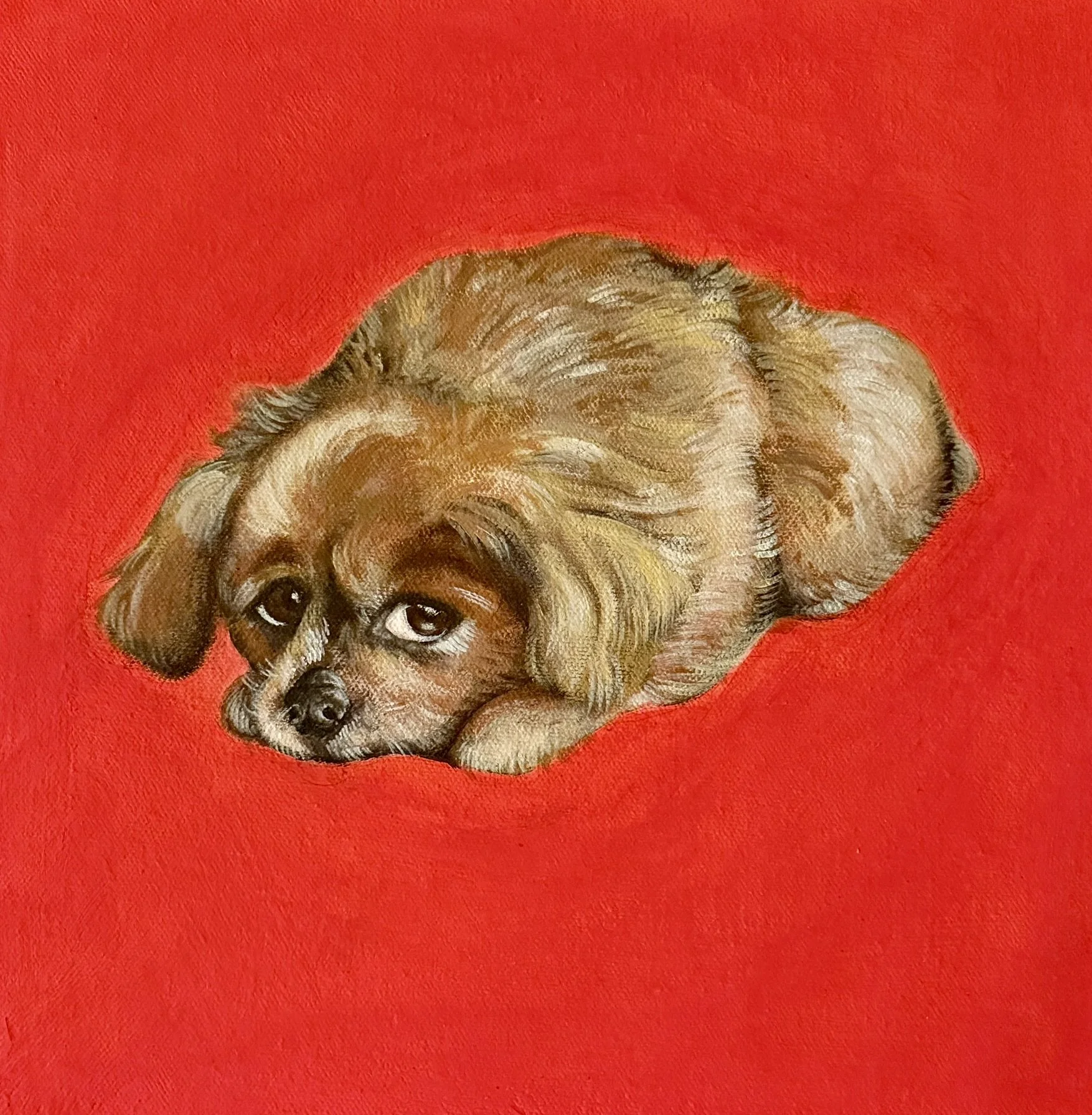 2 of 2 Pet Portrait Commission Acrylic on Canvas 12x12" 2025