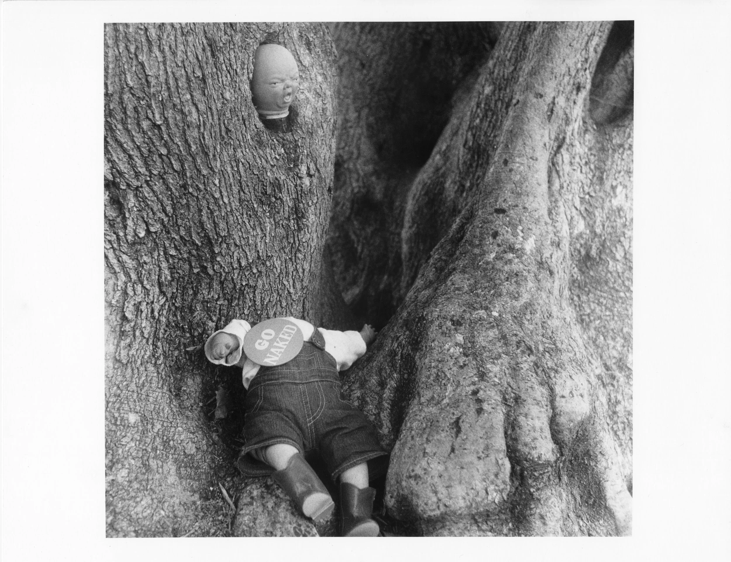"My Sweet Pirkle" Gelatin Silver Prints 14" x 11" 2026