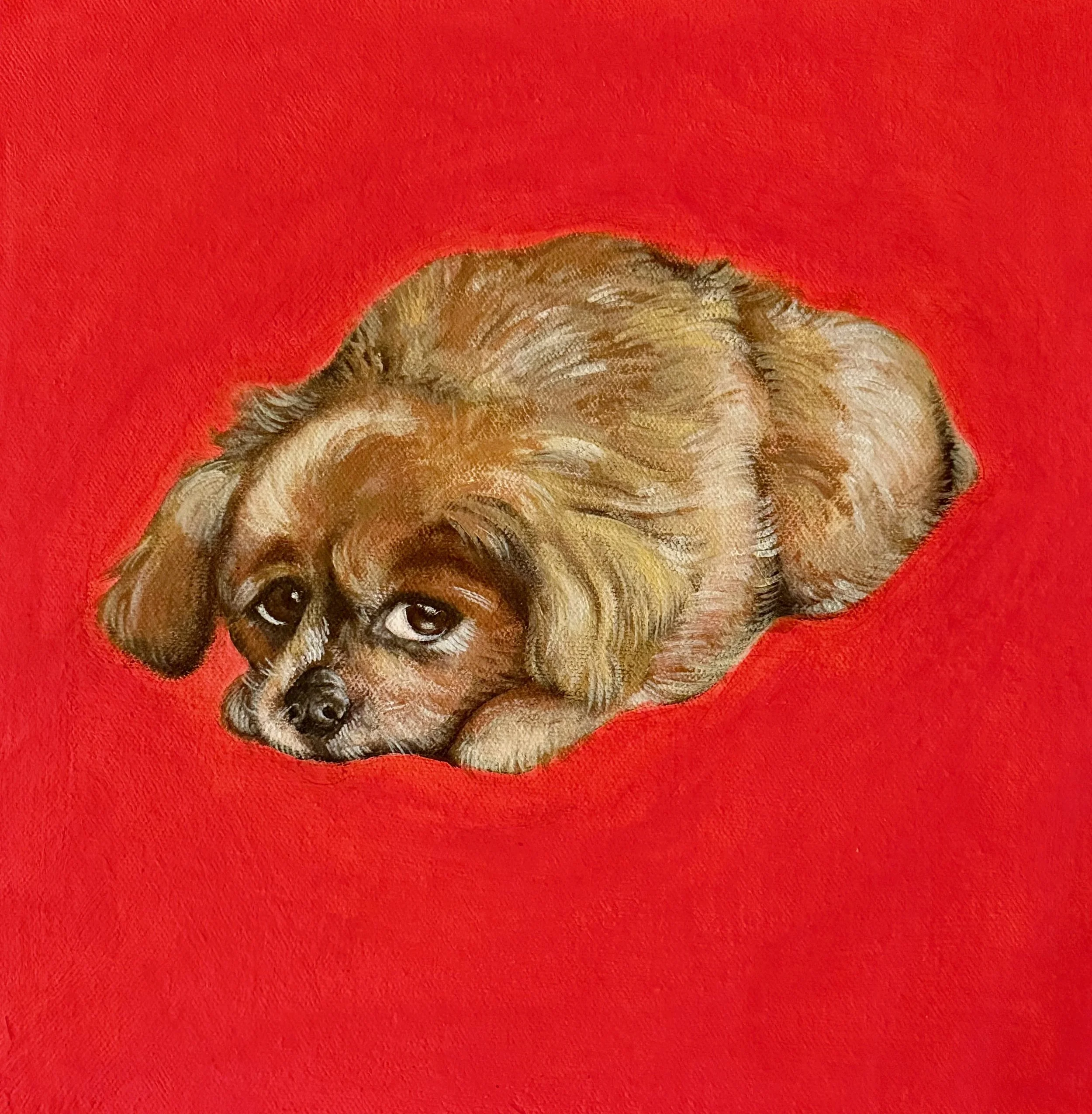 Pet Portrait Commision Acrylic on Canvas 12" x 12" 2025