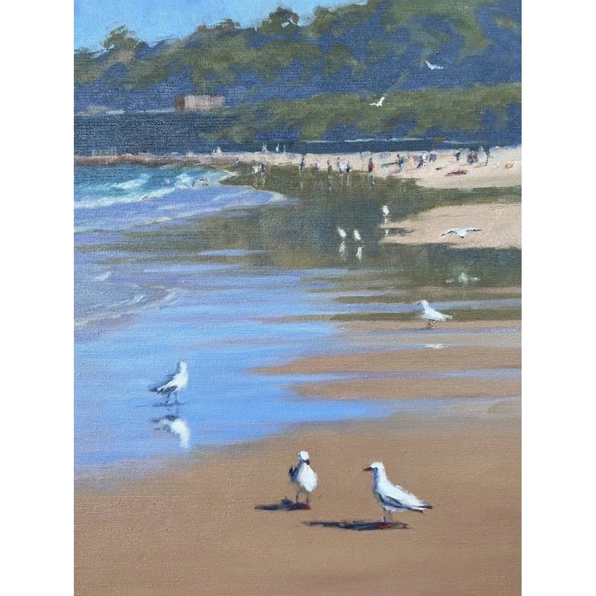 Seagulls chatting about the weather