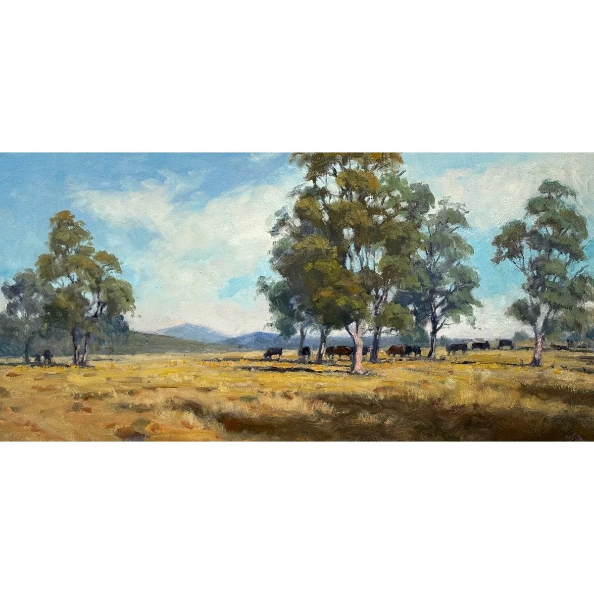 Looking north from Willow Tree