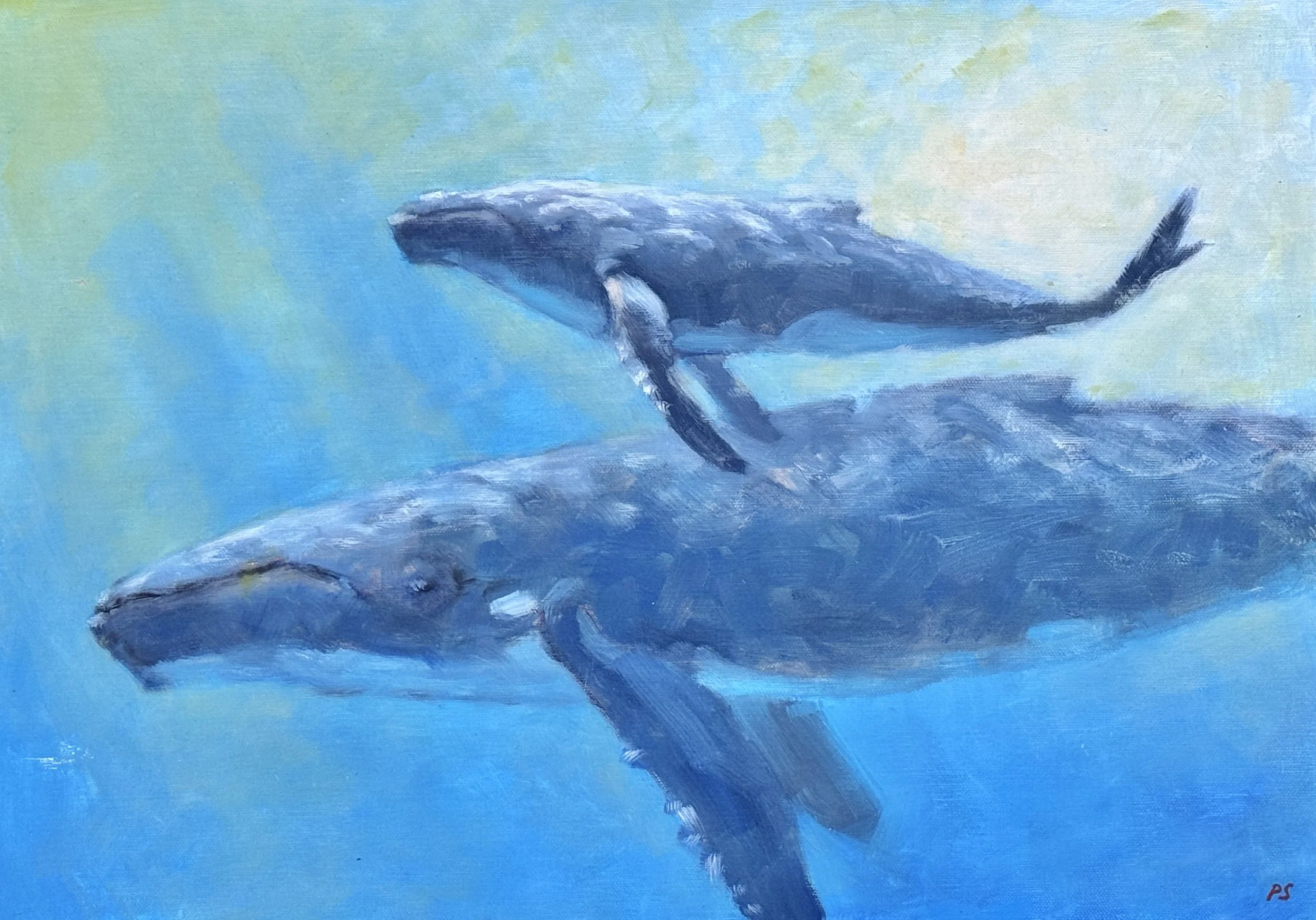 Gentle giants of the deep