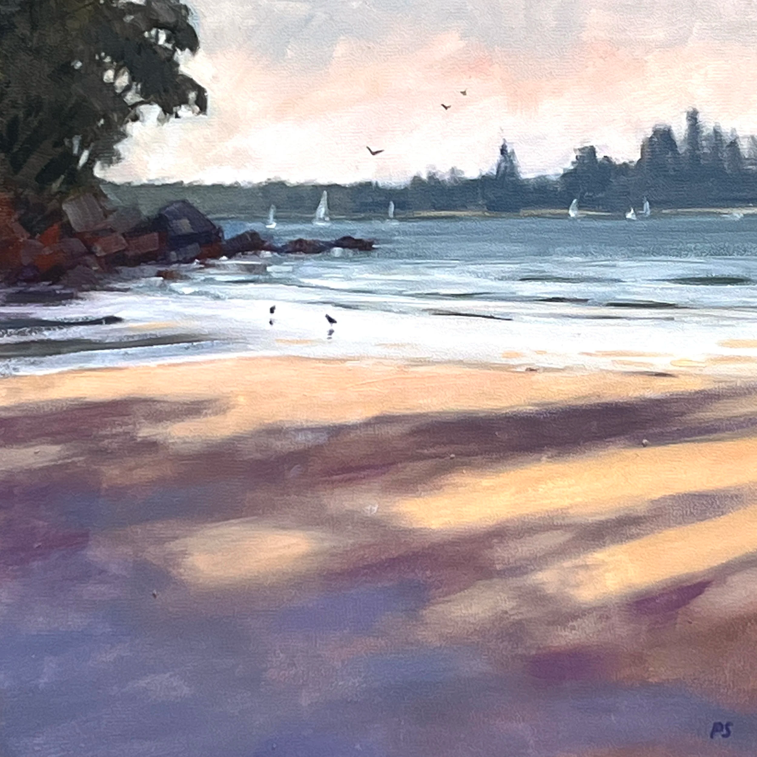 Shadows across the sand