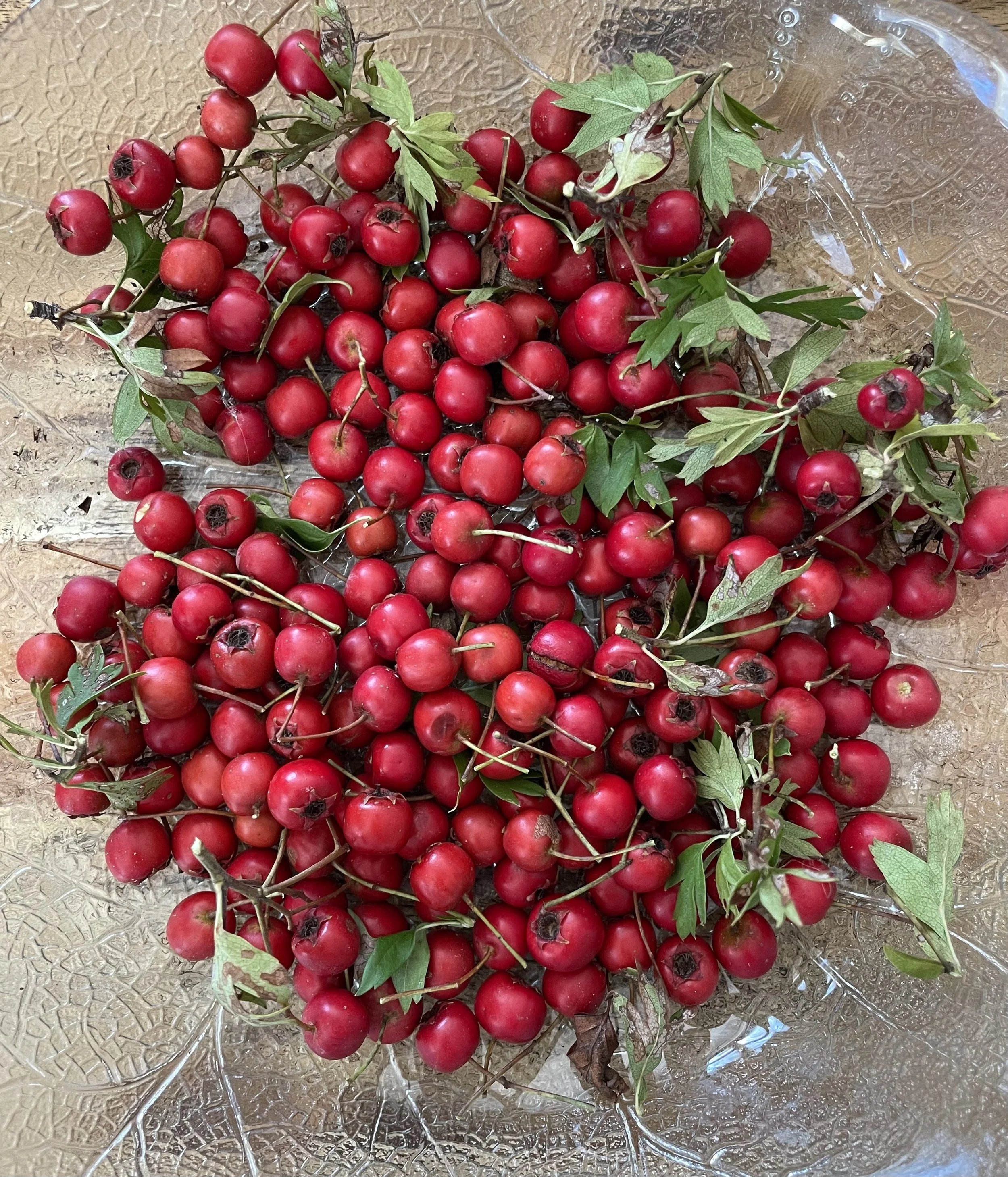 Hawthorn Tincture