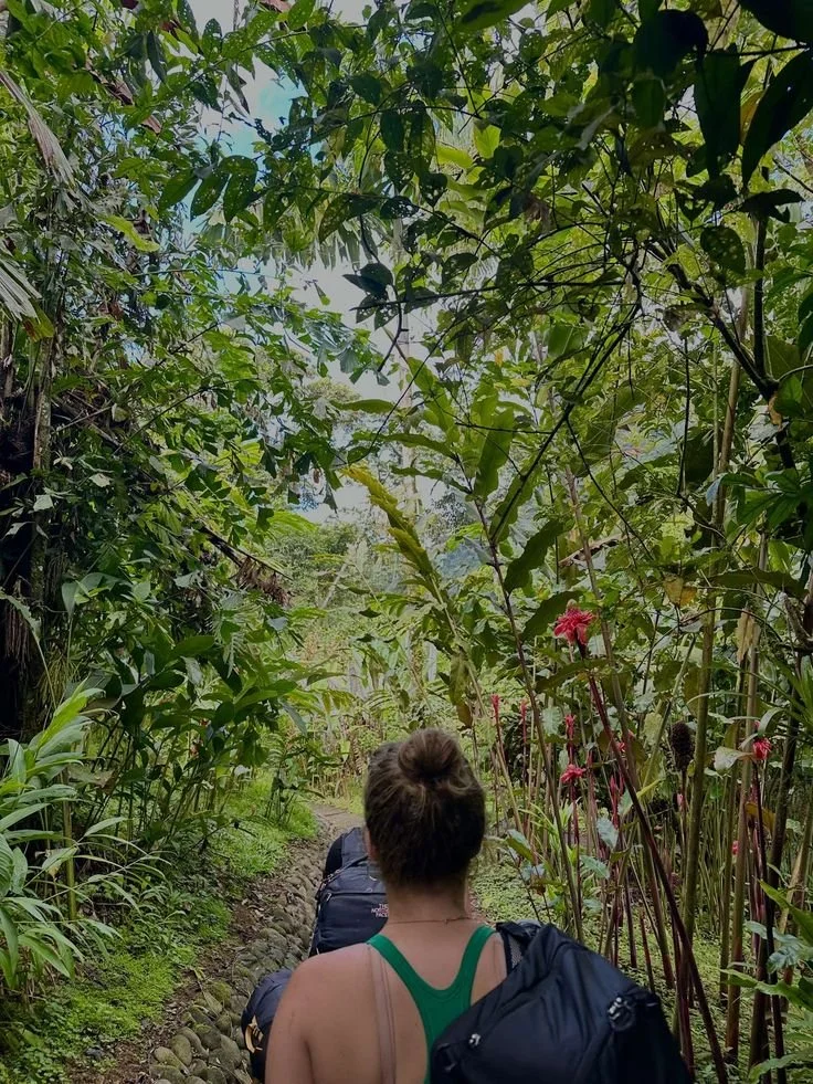 #jungle #nature #wildlife.jpeg