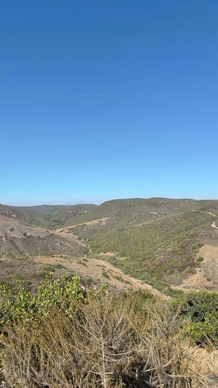 #hike #wellness #nature_.jpeg