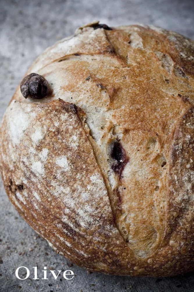 A close-up of a round loaf of rustic bread with a dusting of flour and a dark chocolate chip on top, resting on a gray surface.