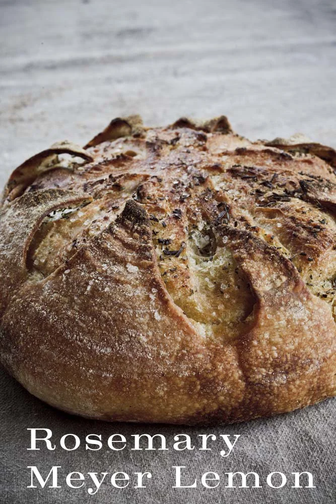 A round loaf of bread with a golden-brown crust, topped with herbs and salt, on a wooden surface.