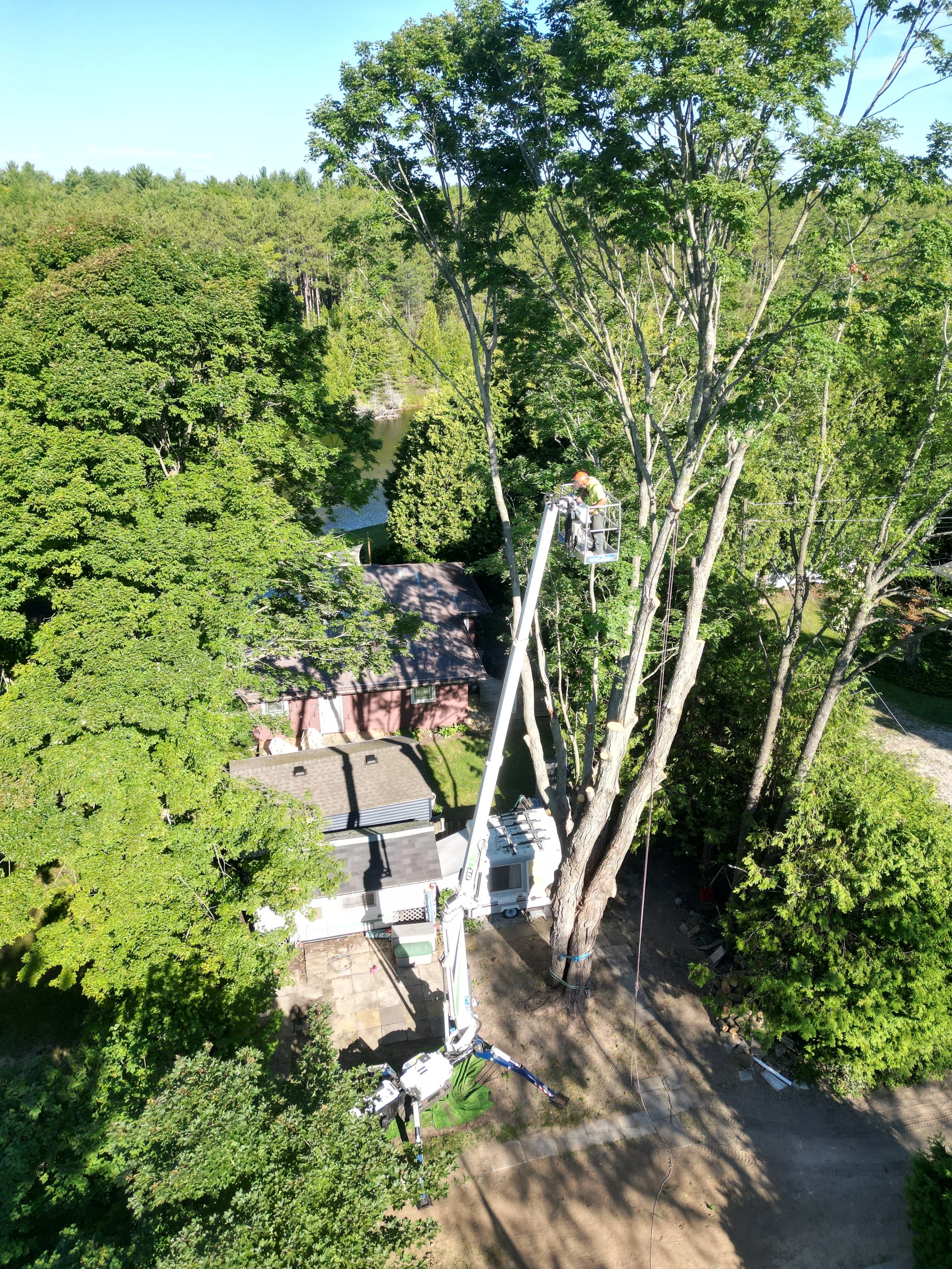 dji_fly_20260818_074340_529_1787063754082_photo.JPG