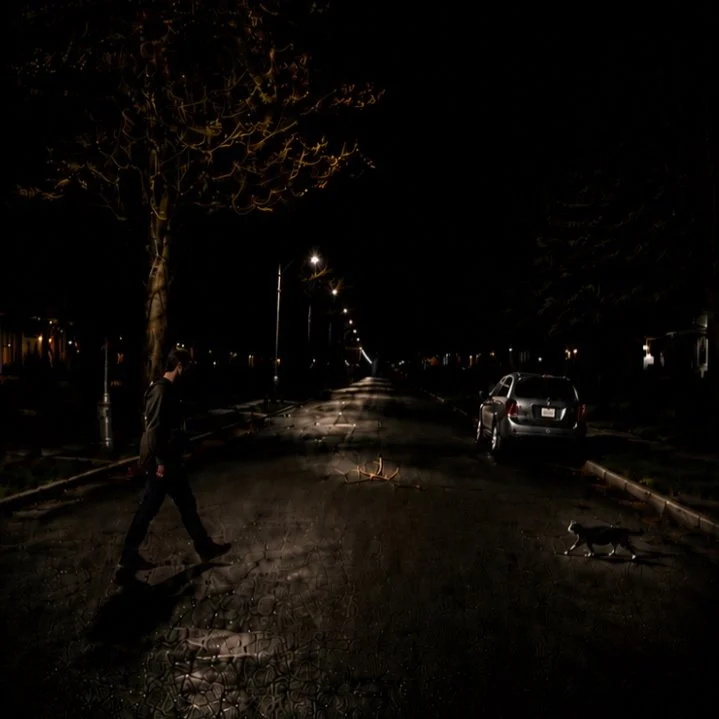 Nighttime road scene revealing a fallen tree branch