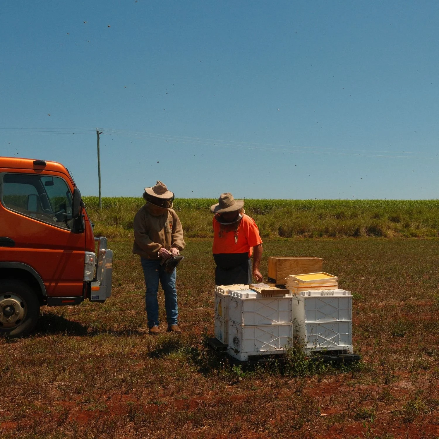 Two people in hats examining papers or photos next to a white container on a farm or field with a red vehicle nearby and a clear blue sky.