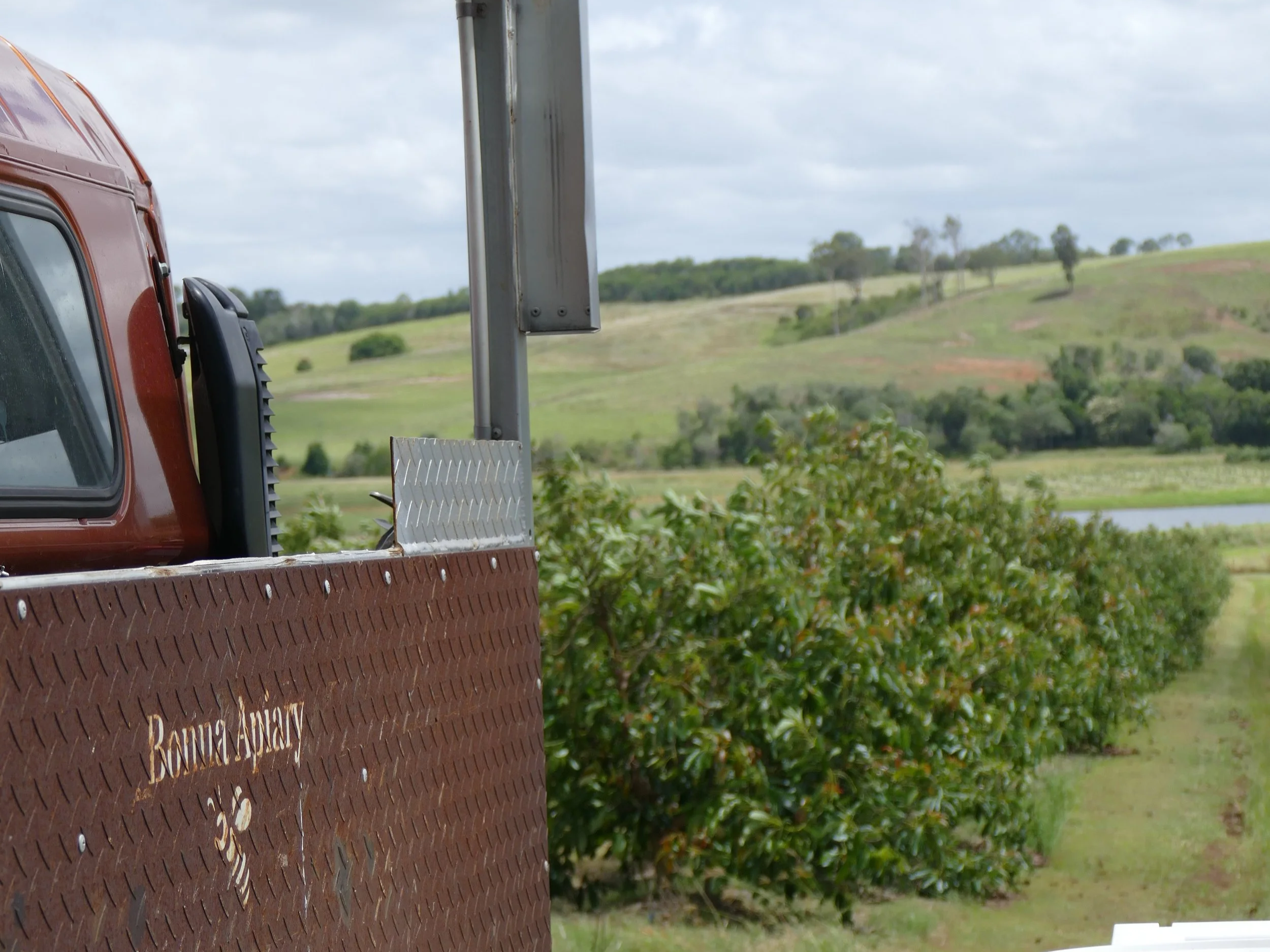 Close-up of a rusty utility truck with a brown diamond plate side panel and a black receiver hitch, parked near green bushes and rolling hills with trees and a pond in the background under a cloudy sky.