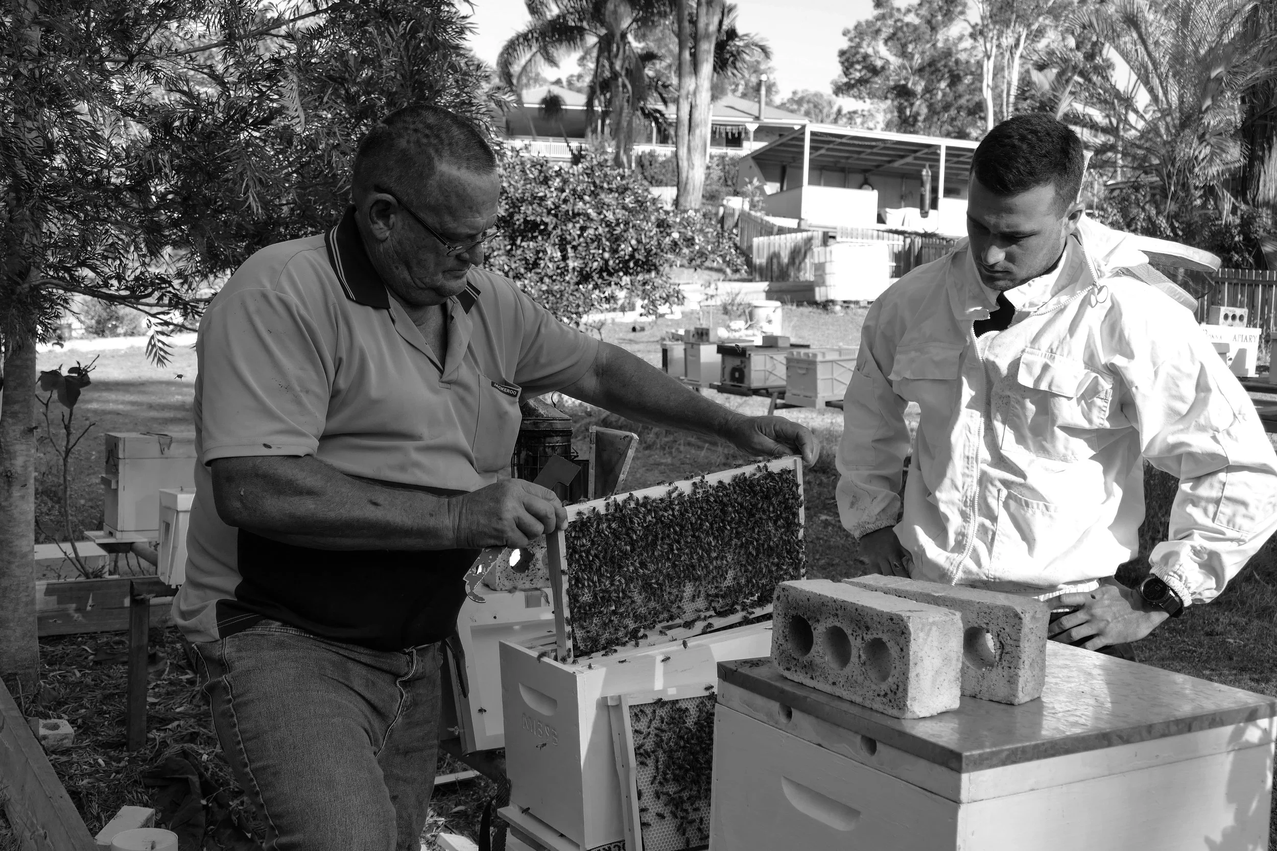 Two men tending to a hive of bees outdoors, examining a honeycomb frame, with beekeeping equipment and honeycombs on a nearby table.