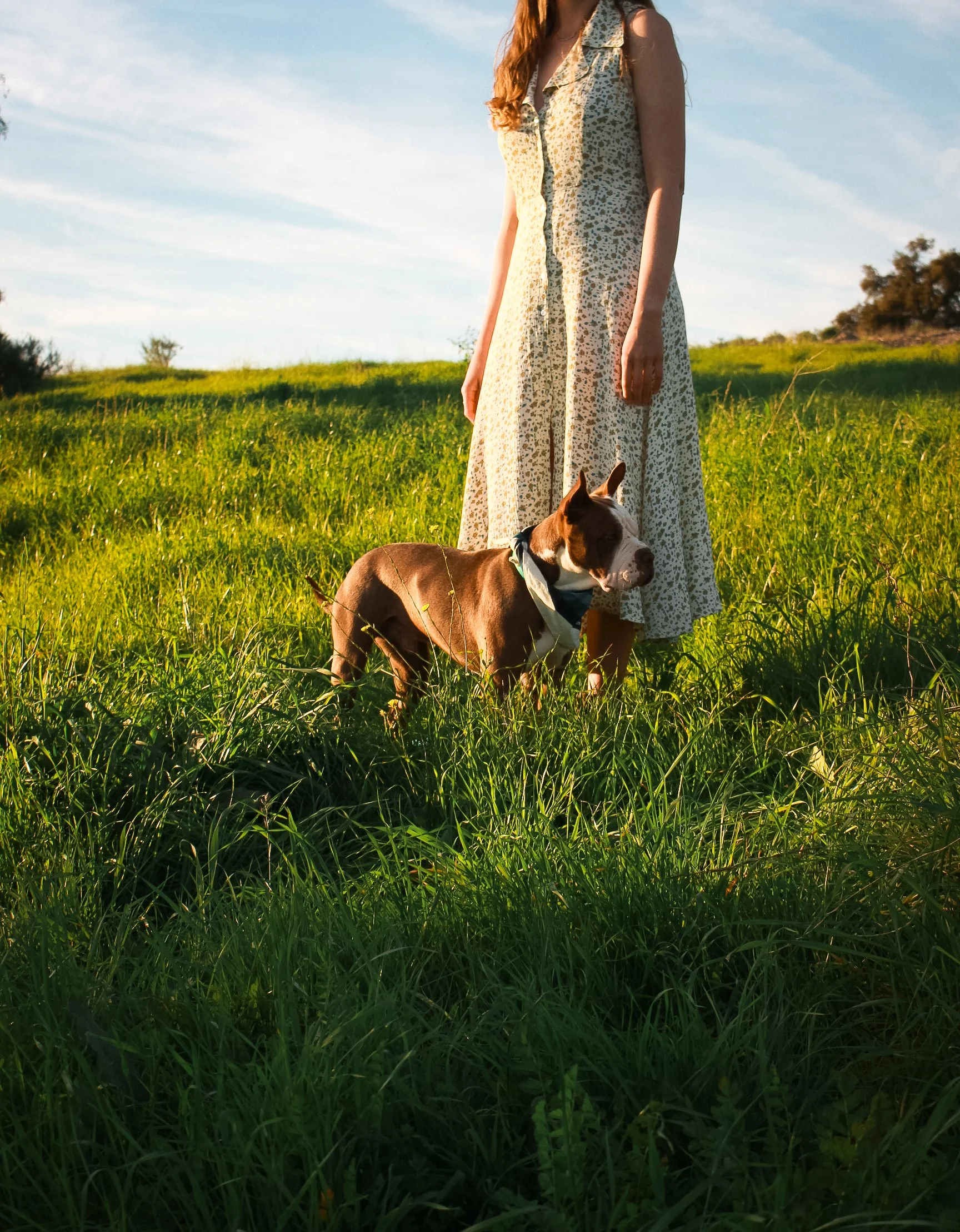 Outdoor dog and human photography with coastal California background