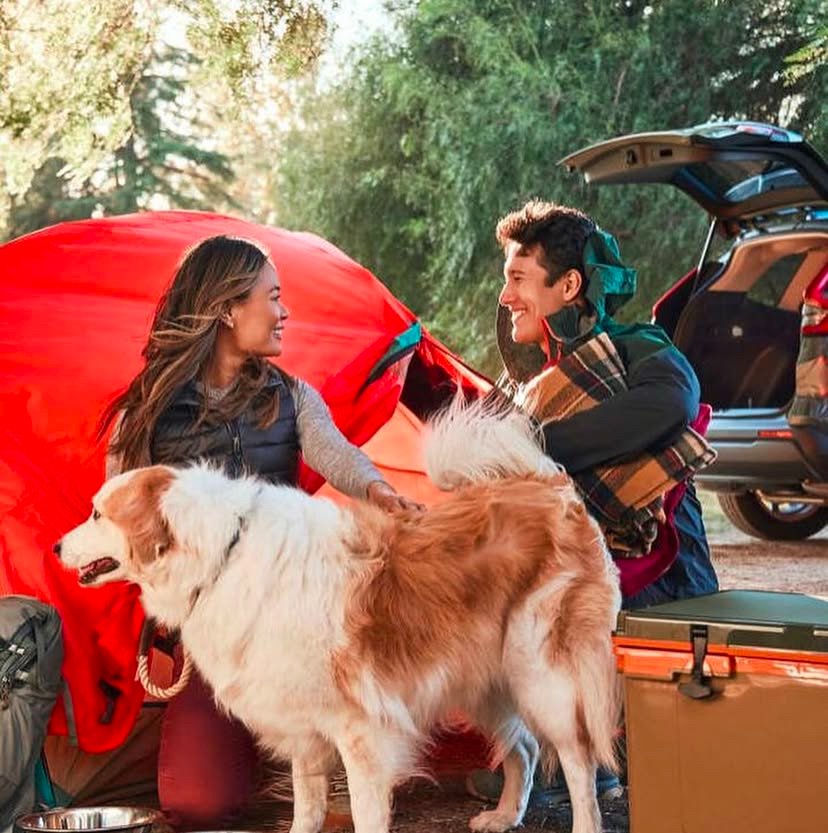A man and woman smiling at each other during a camping trip with a large dog. The woman is sitting near a red tent, and the man is standing with a blanket over his shoulder, near an open car trunk.