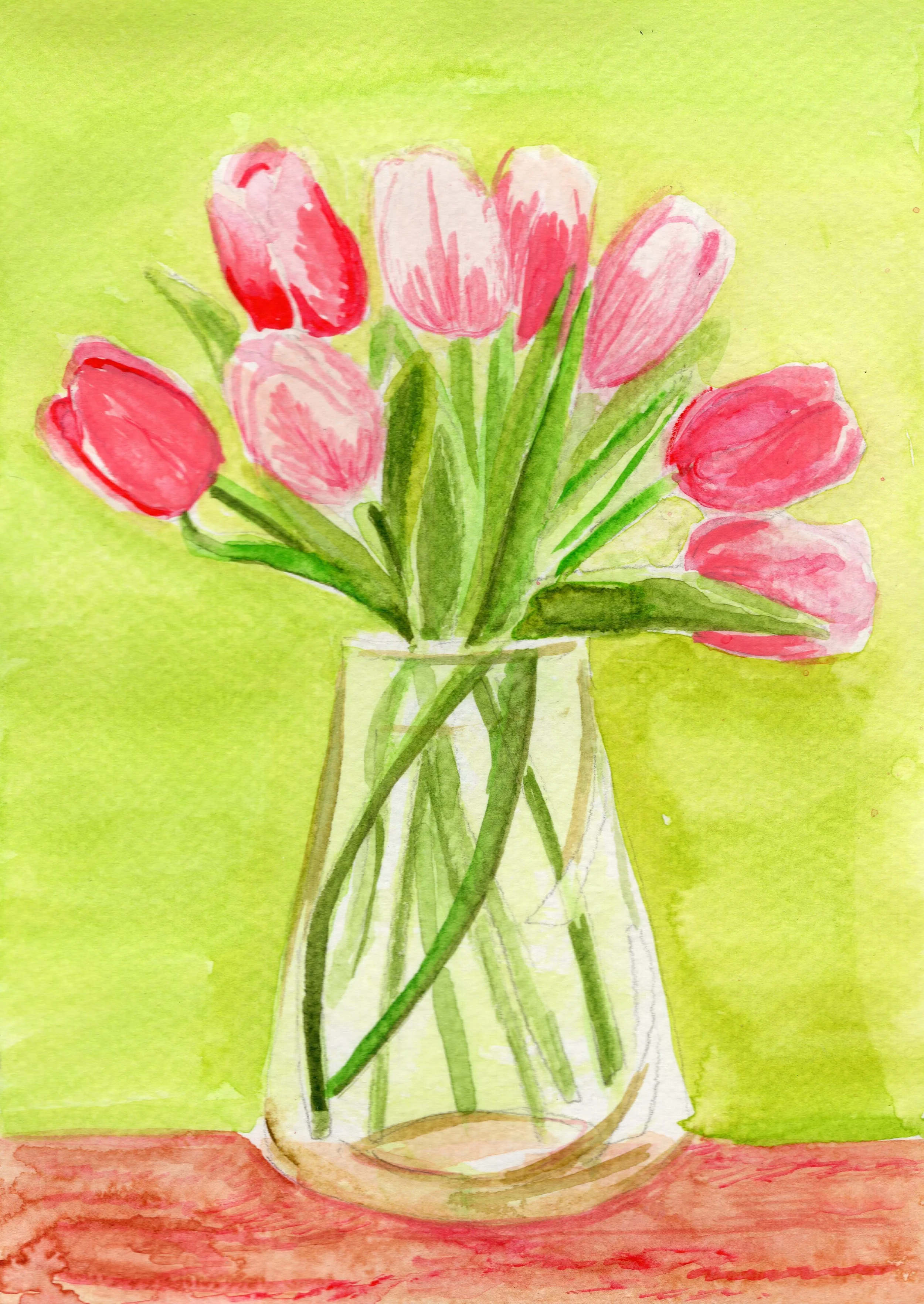 Pink Tulips