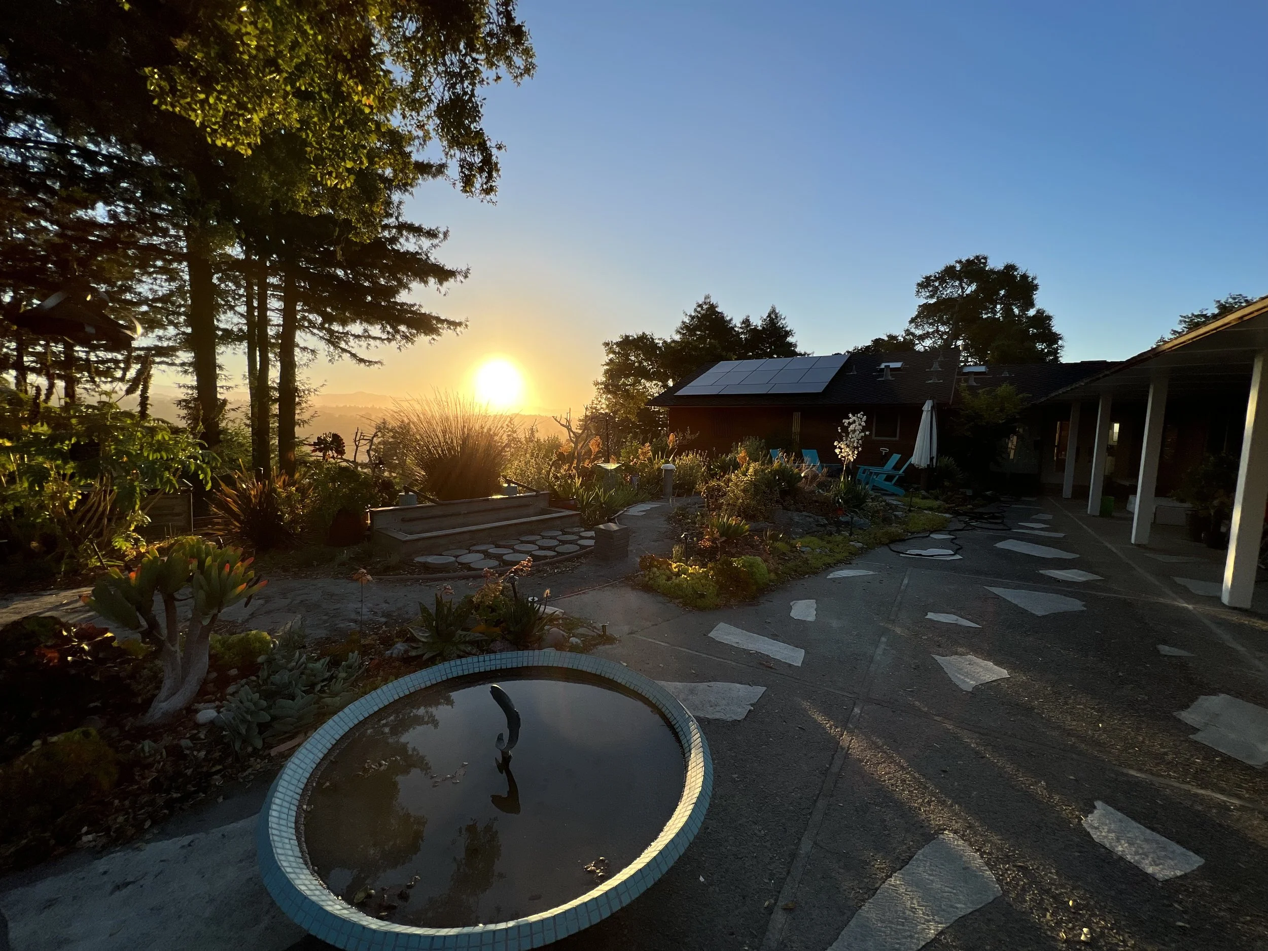 Willy Guhl water feature rescued after having become a planter, now ringed with teal tile to match mid-century style of house