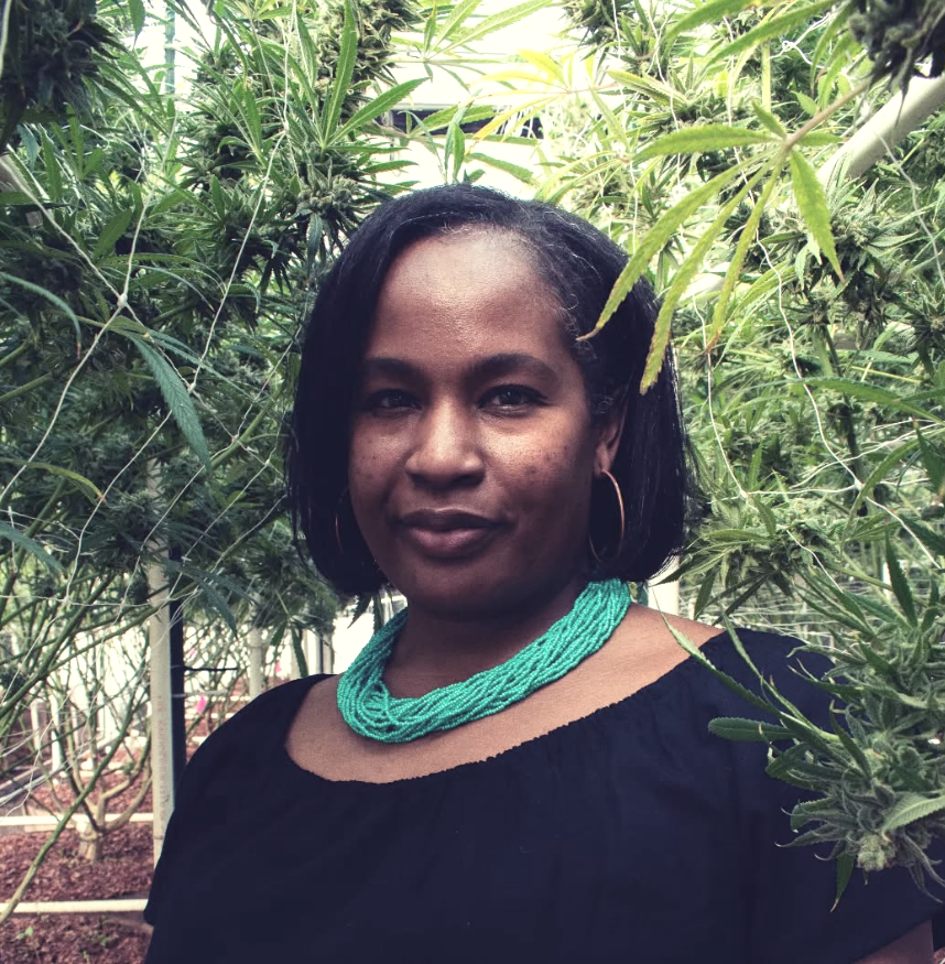 A woman standing among cannabis plants in a greenhouse or garden.
