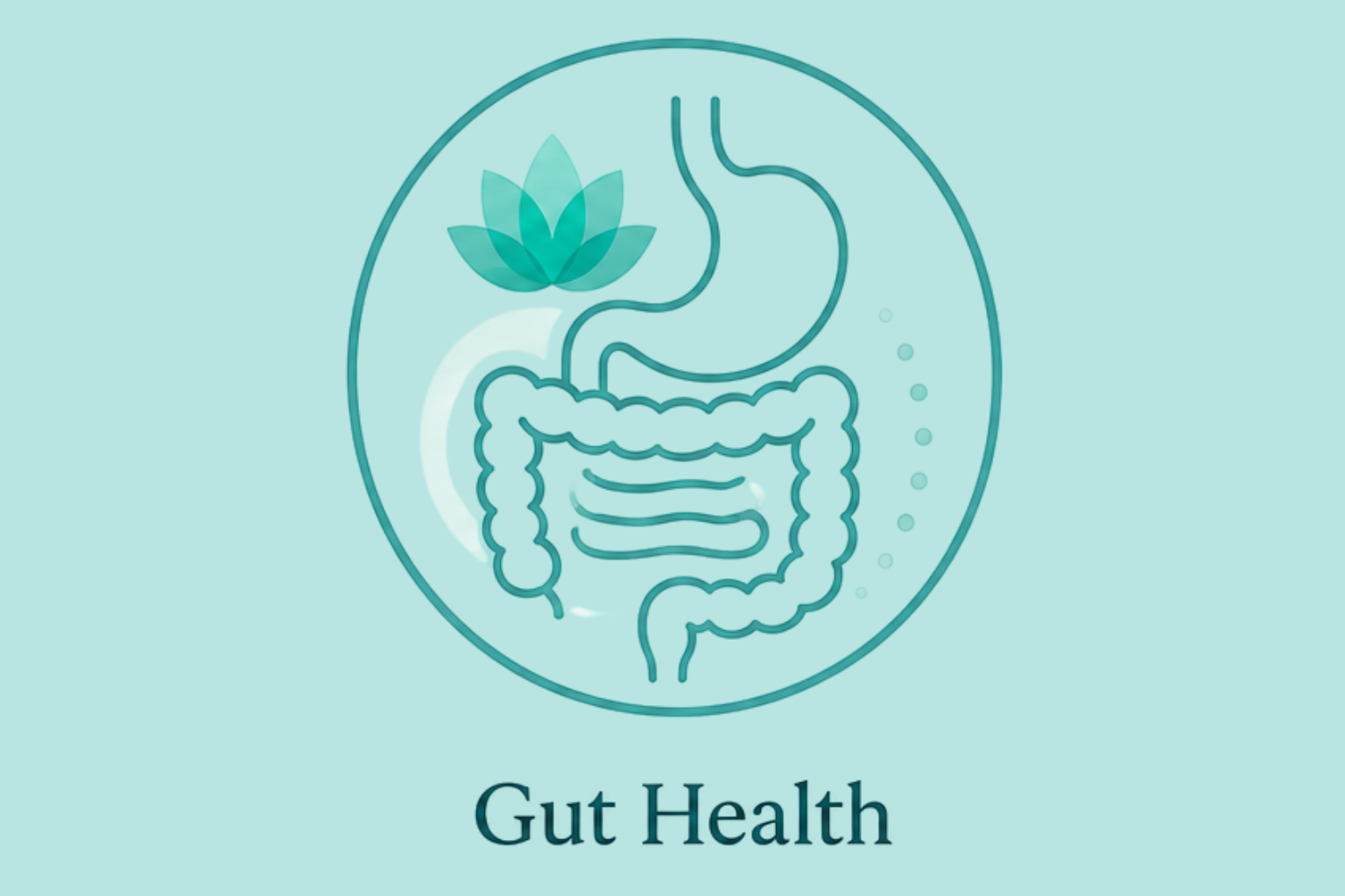 A graphic illustration of the human digestive system with a focus on gut health, featuring a stylized stomach, intestines, and a lotus flower above the stomach, all within a circular outline, with the text 'Gut Health' below.