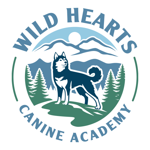 Wild Hearts Dog Training