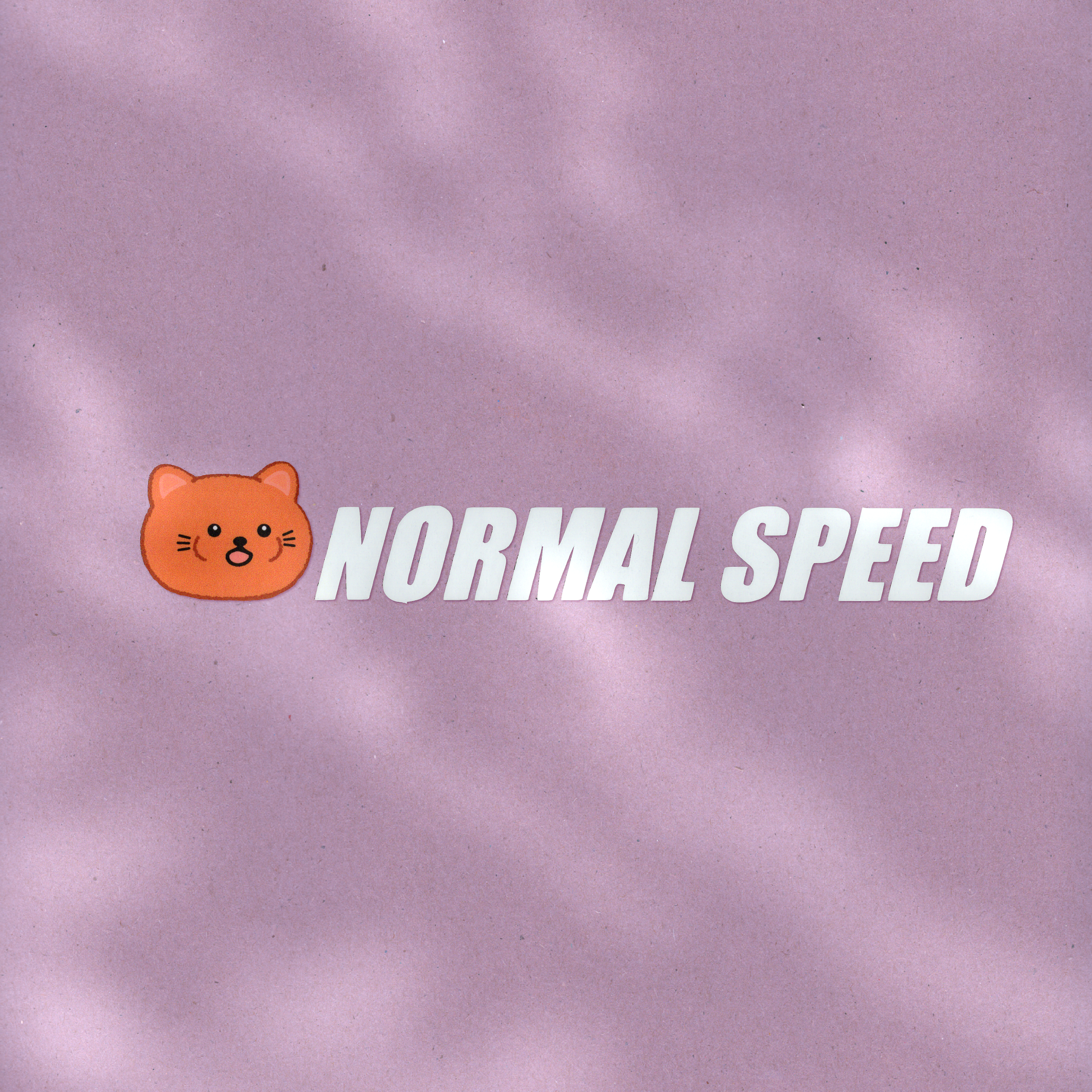 "Normal Speed" Car Decal