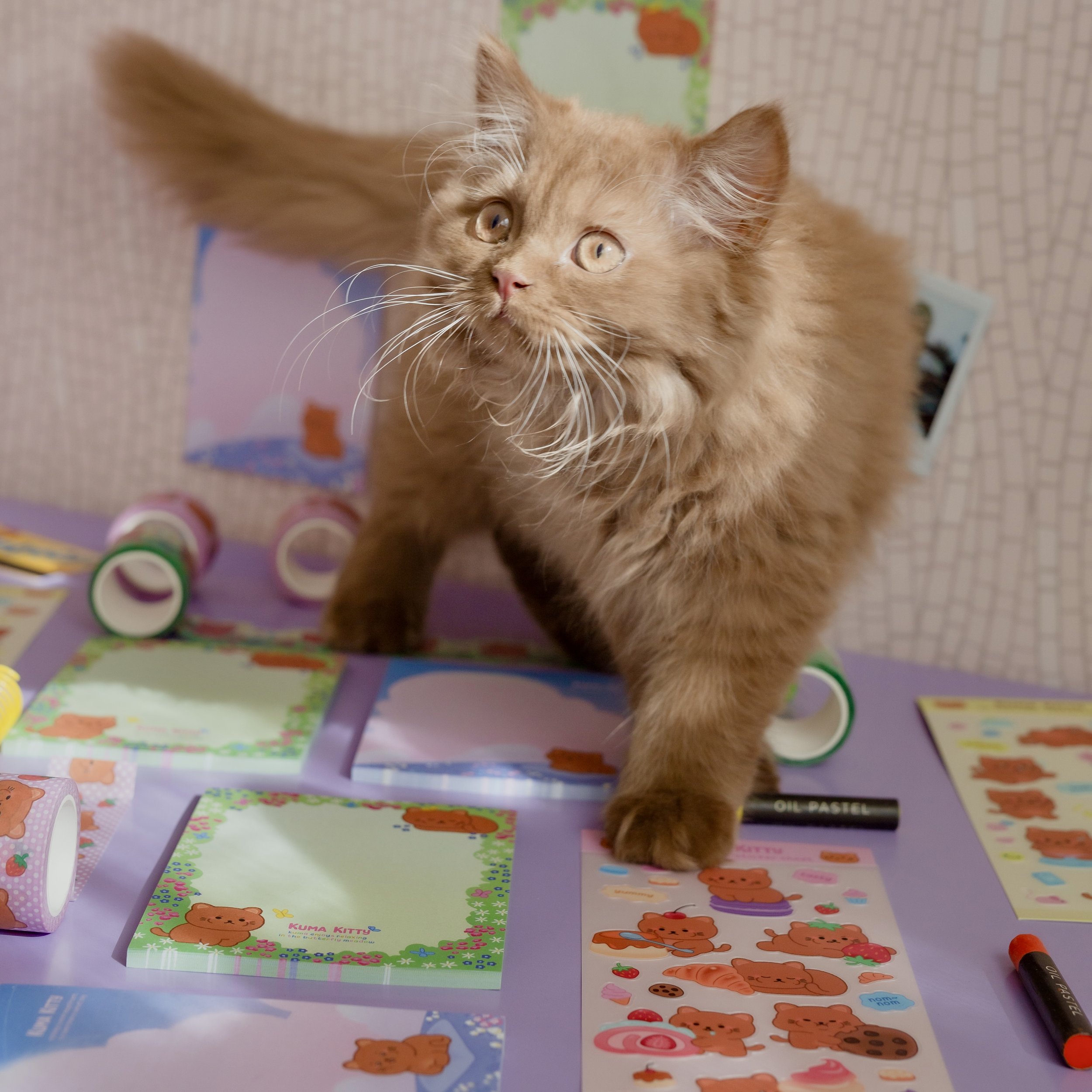 A fluffy orange kitten surrounded by colorful stationery and stickers on a purple table. The background has a light-colored textured wall with a map or drawing and a small photo.
