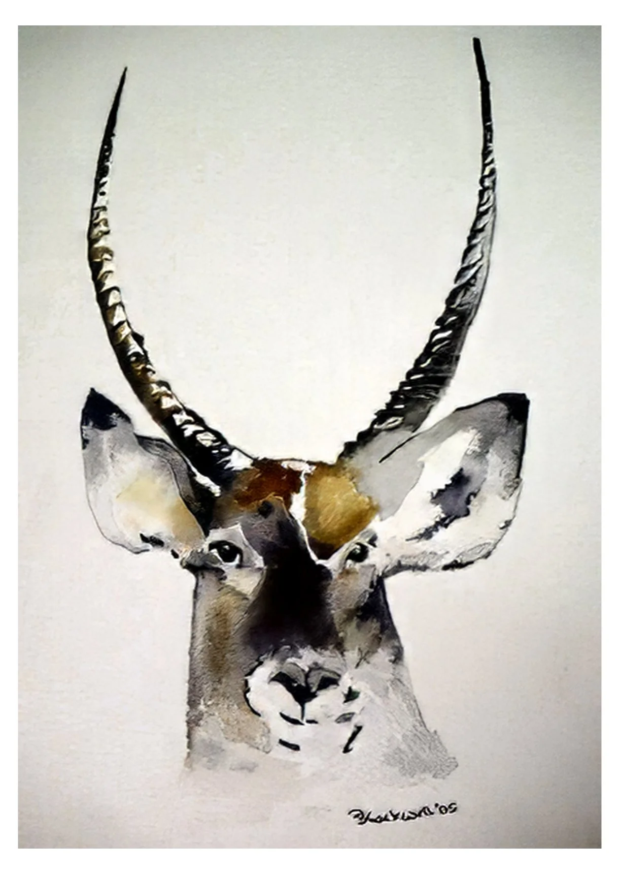 Waterbuck: waterclour