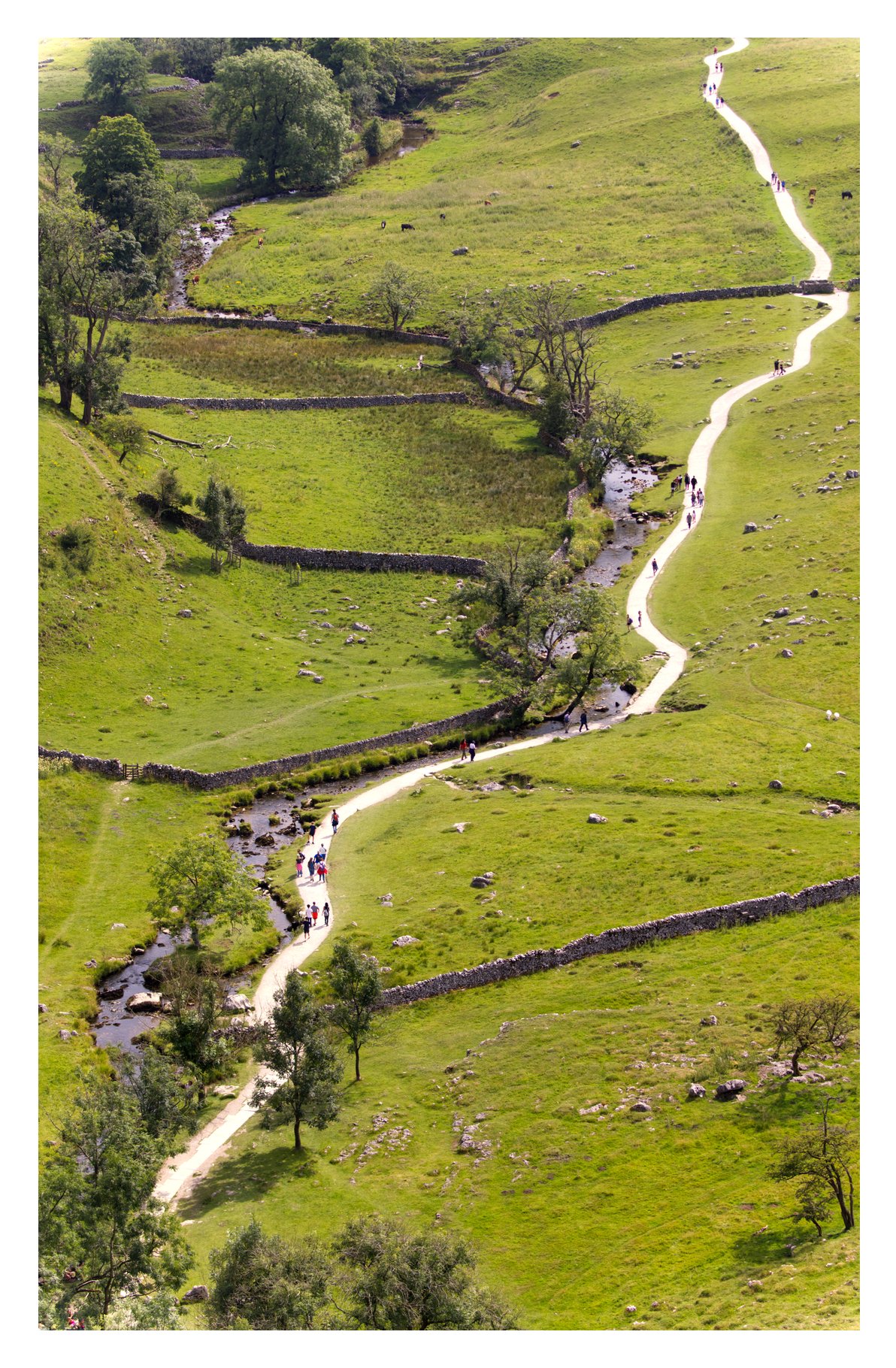 View from the top of Malham Cove