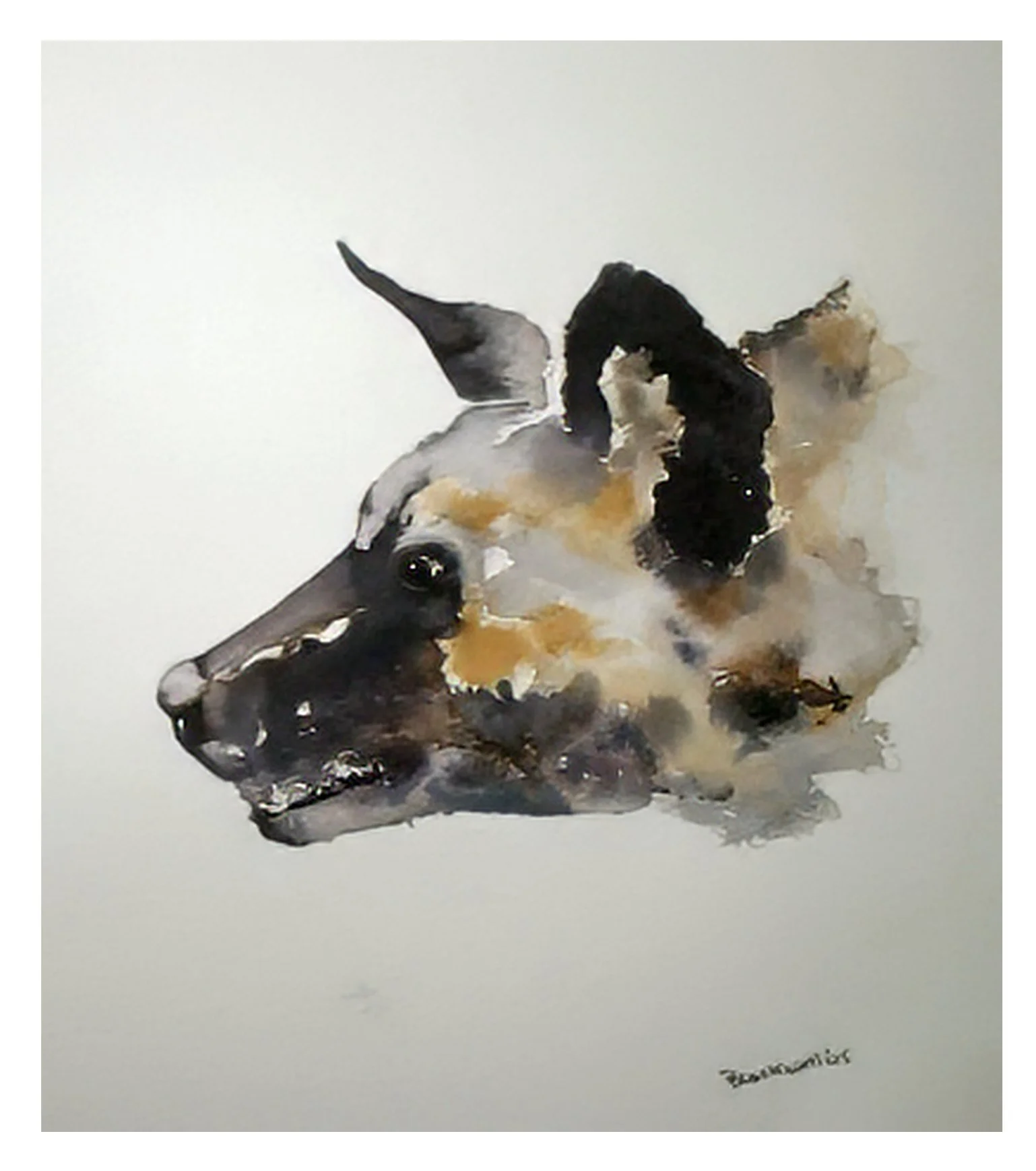 Wild Dog: waterclour 