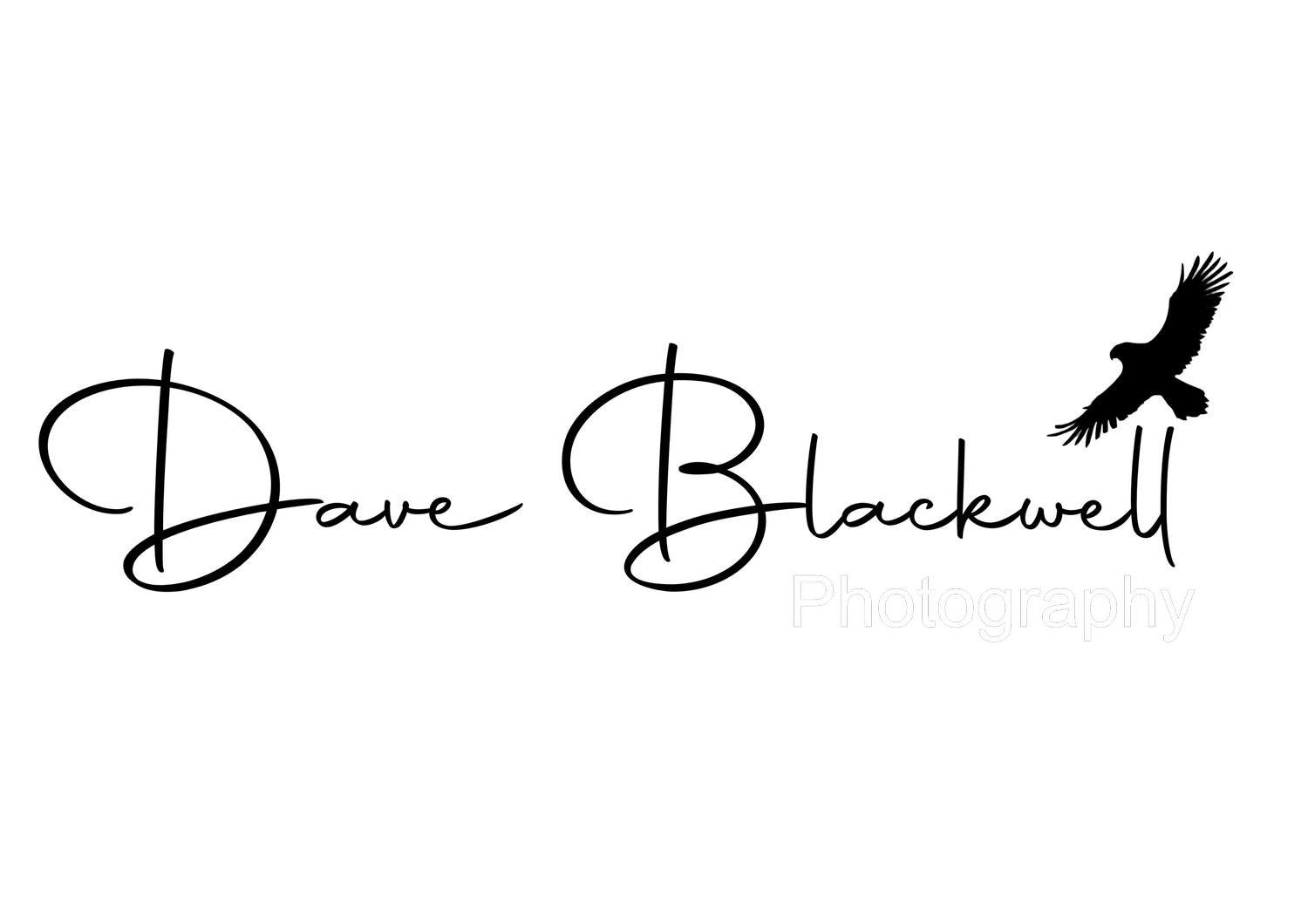 Capturing Memories, And The Wildlife We Share Our World With.