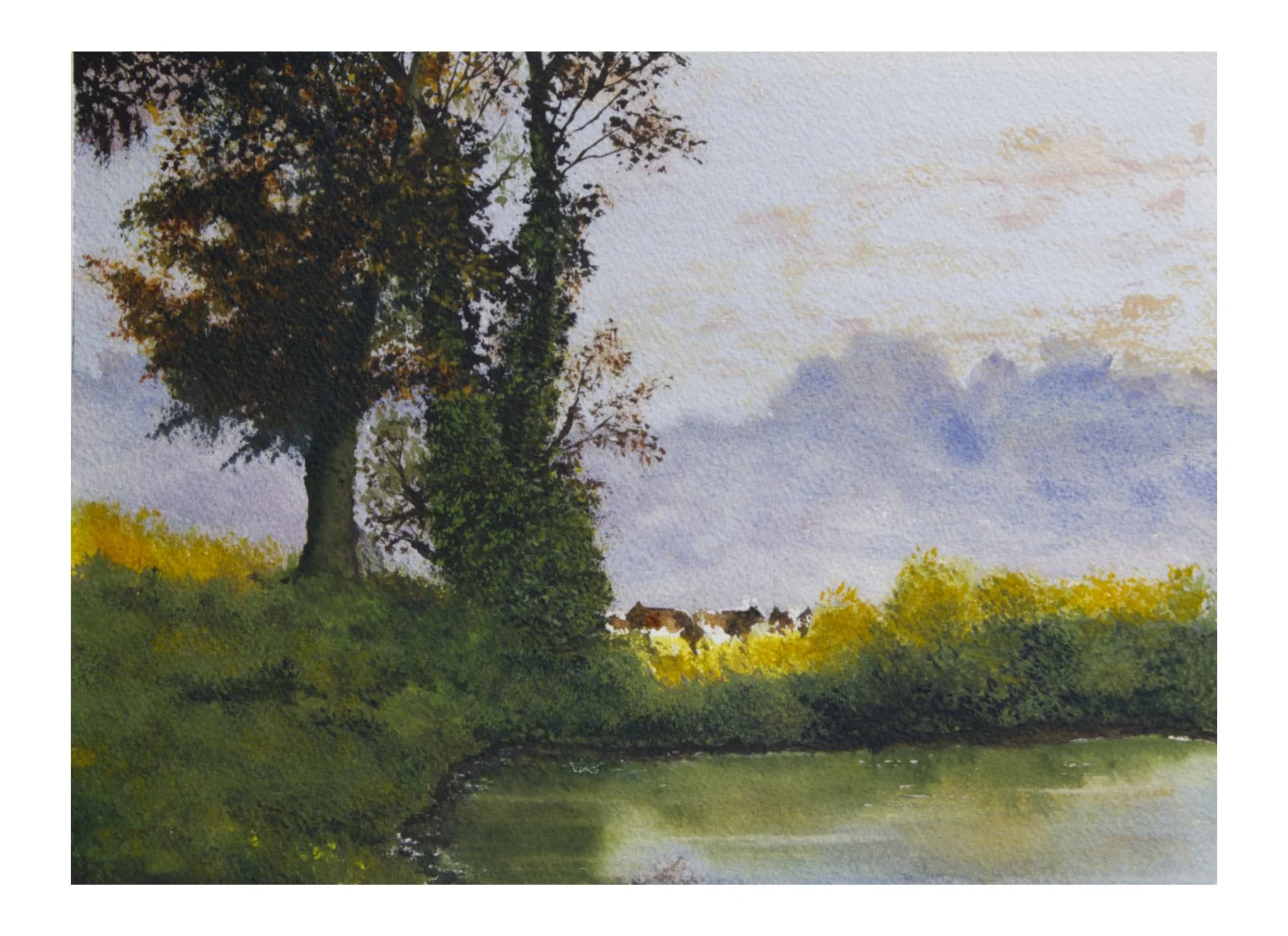 Summer: waterclour 