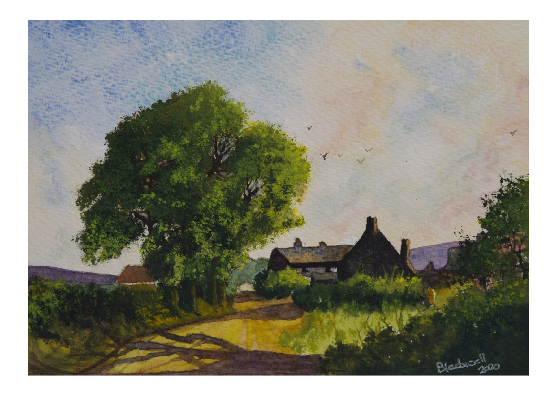 Country cottagewith Oak tree: waterclour