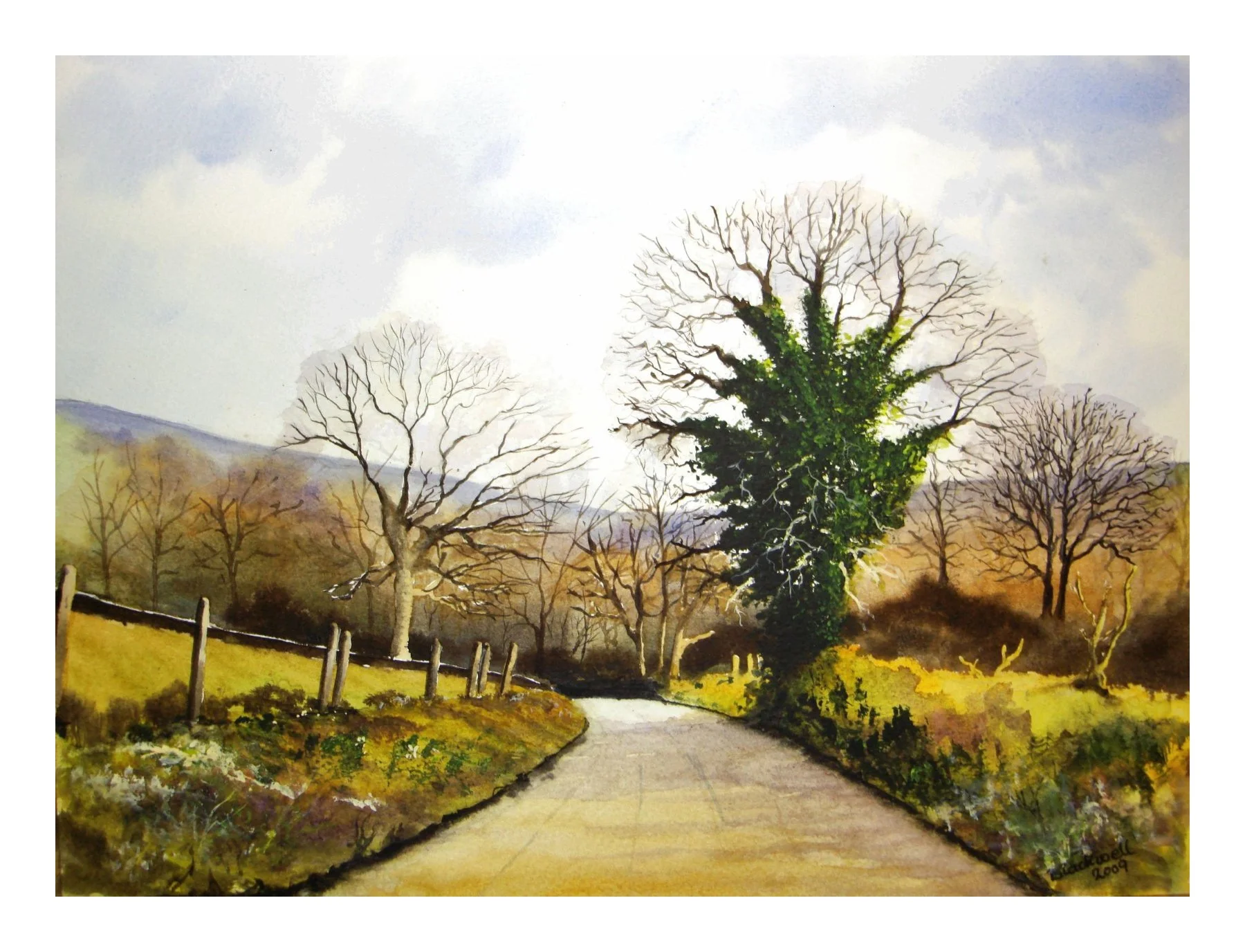 The old Oak: waterclour
