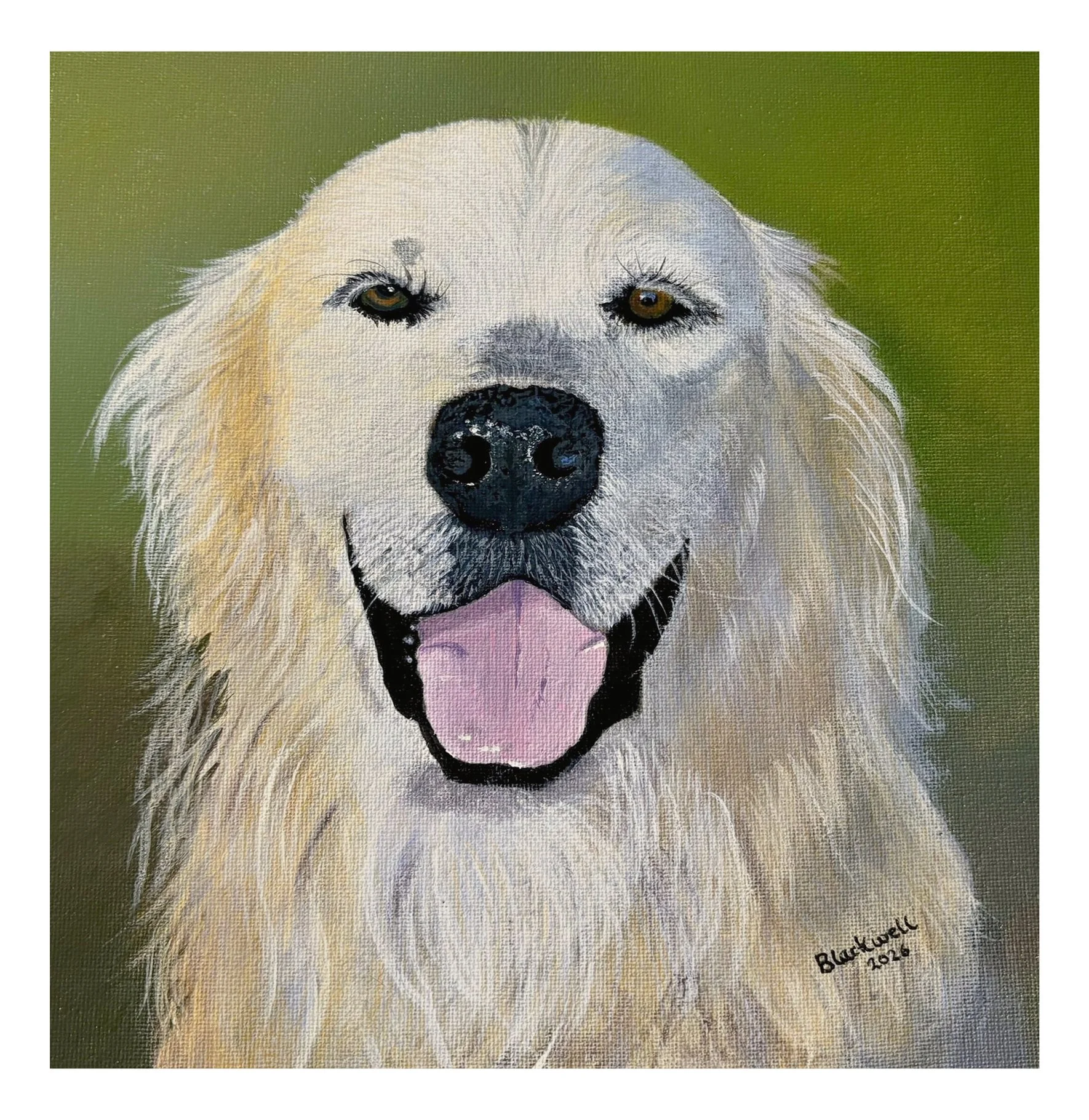 Beau; Acrylic on Board