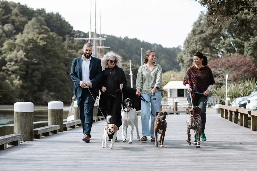 Four people walking four dogs on a wooden dock near a body of water, with trees in the background.