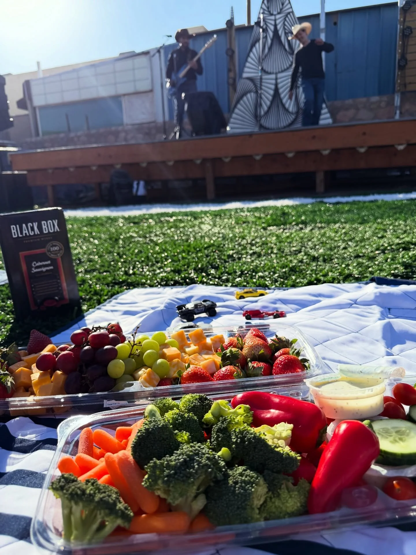 Picnics at Paradox starts this Saturday! Join us at Paradox Live @paradoximmersiveart from 1-4 pm. Bring your picnic blankets, lawn chairs, snacks, and your beverage of choice. We&rsquo;ve got some tunes for you all 🎤 PSA: Bring sunscreen! 🌞

Sound