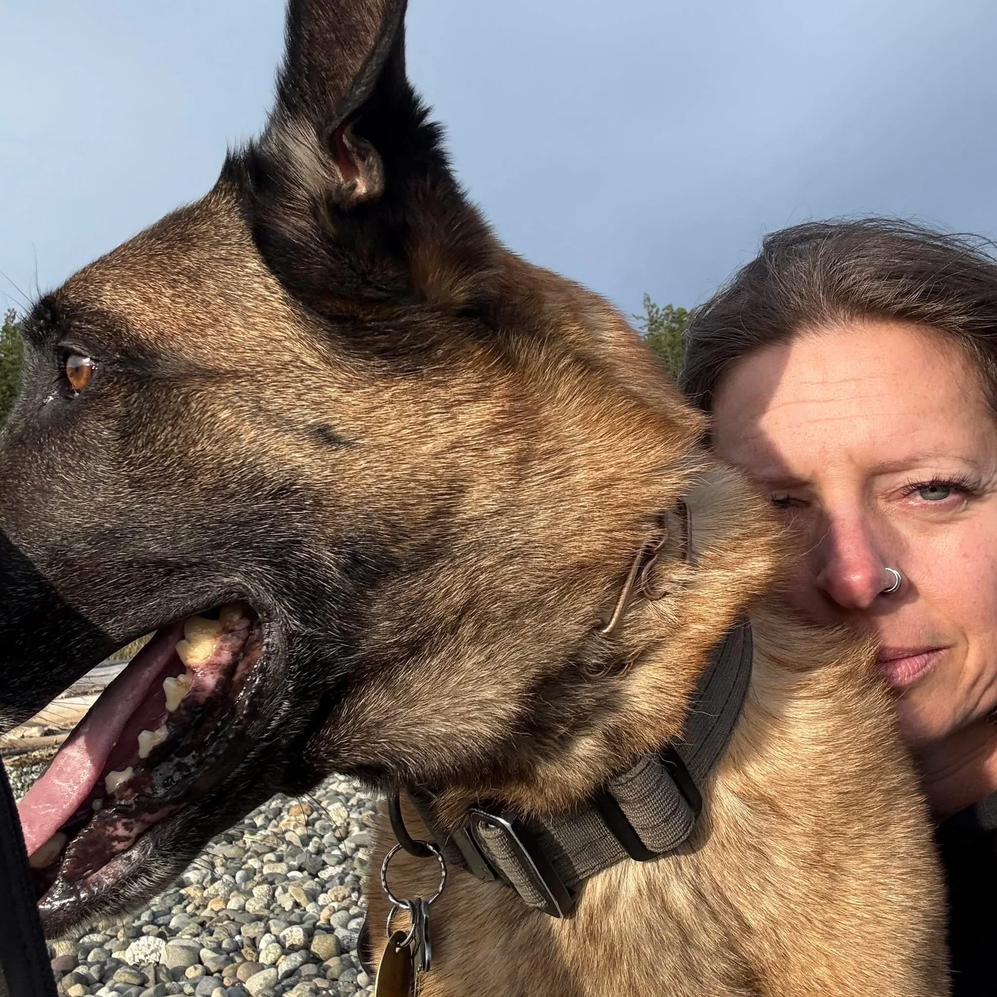 A woman with a tattooed arm, wearing a nose ring, and a Belgian Malinois dog with a black collar, outdoors on a rocky surface with trees and a cloudy sky in the background.