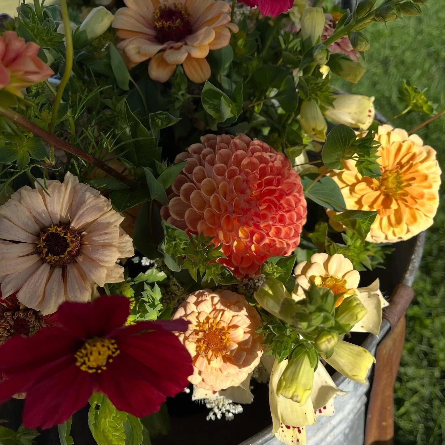 Another day, another backseat full of flowers, and another restocked stand!💐👩🏻&zwj;🌾