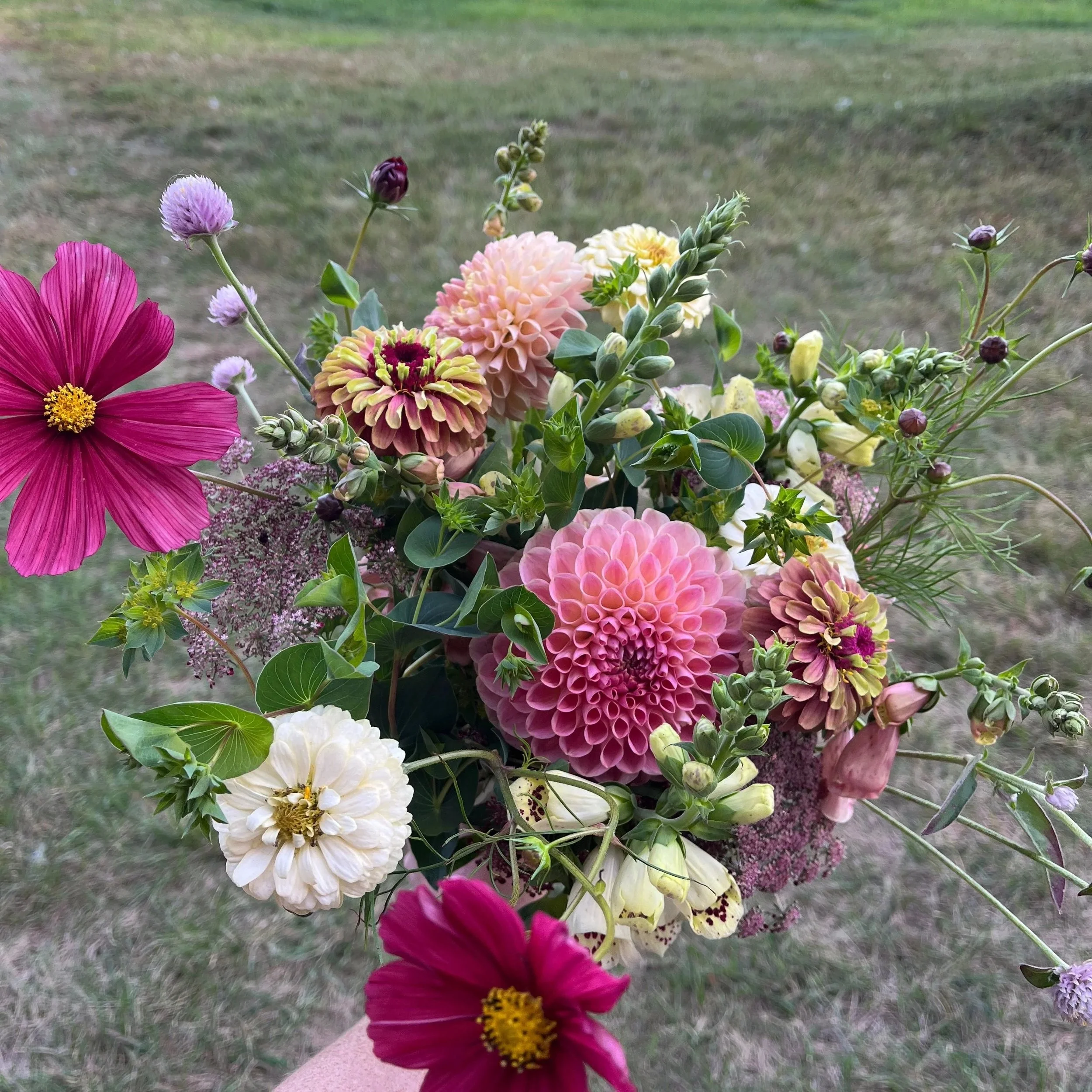A colorful bouquet of various flowers, including dahlias, cosmos, and other blooms, held outdoors against a grassy background.